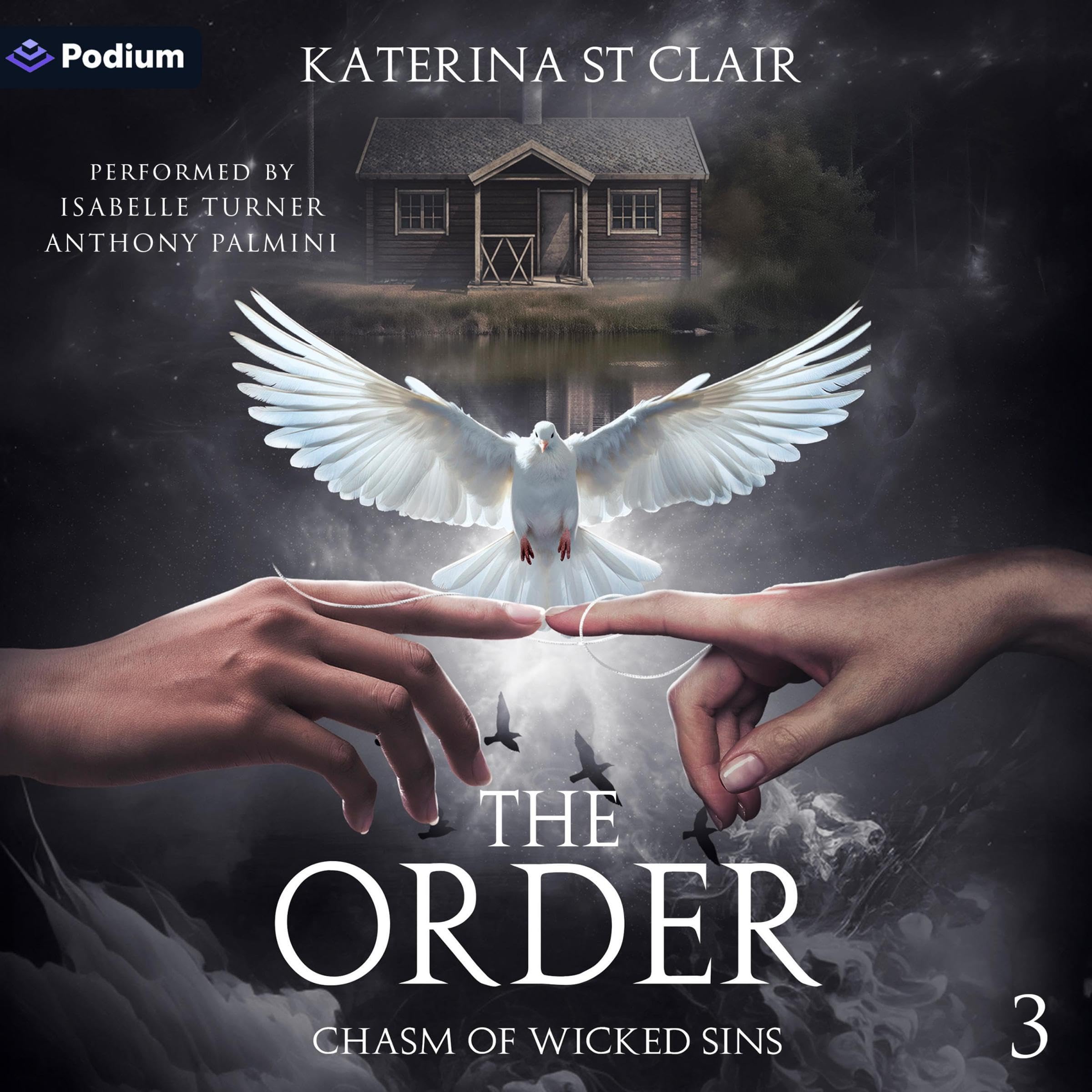 Cover art for The Order: Chasm of Wicked Sins
