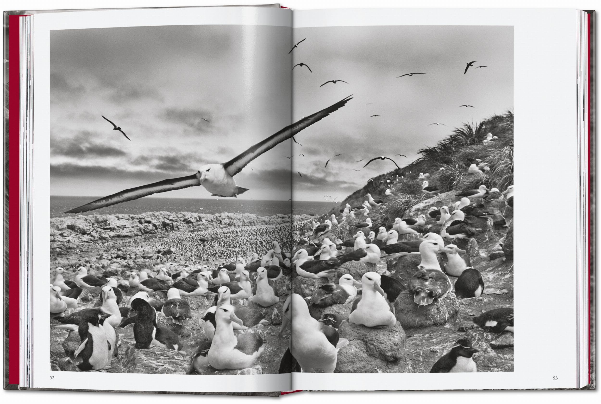 Sebastião Salgado: Genesis. 45th Ed.