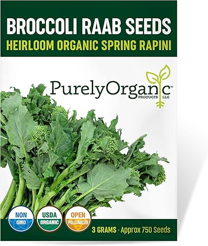 Semillas orgánicas de brócoli Raab (Spring Rapini) – Aproximadamente 750 semillas – USDA Organic, sin OMG, polinizado abierto, reliquia, origen