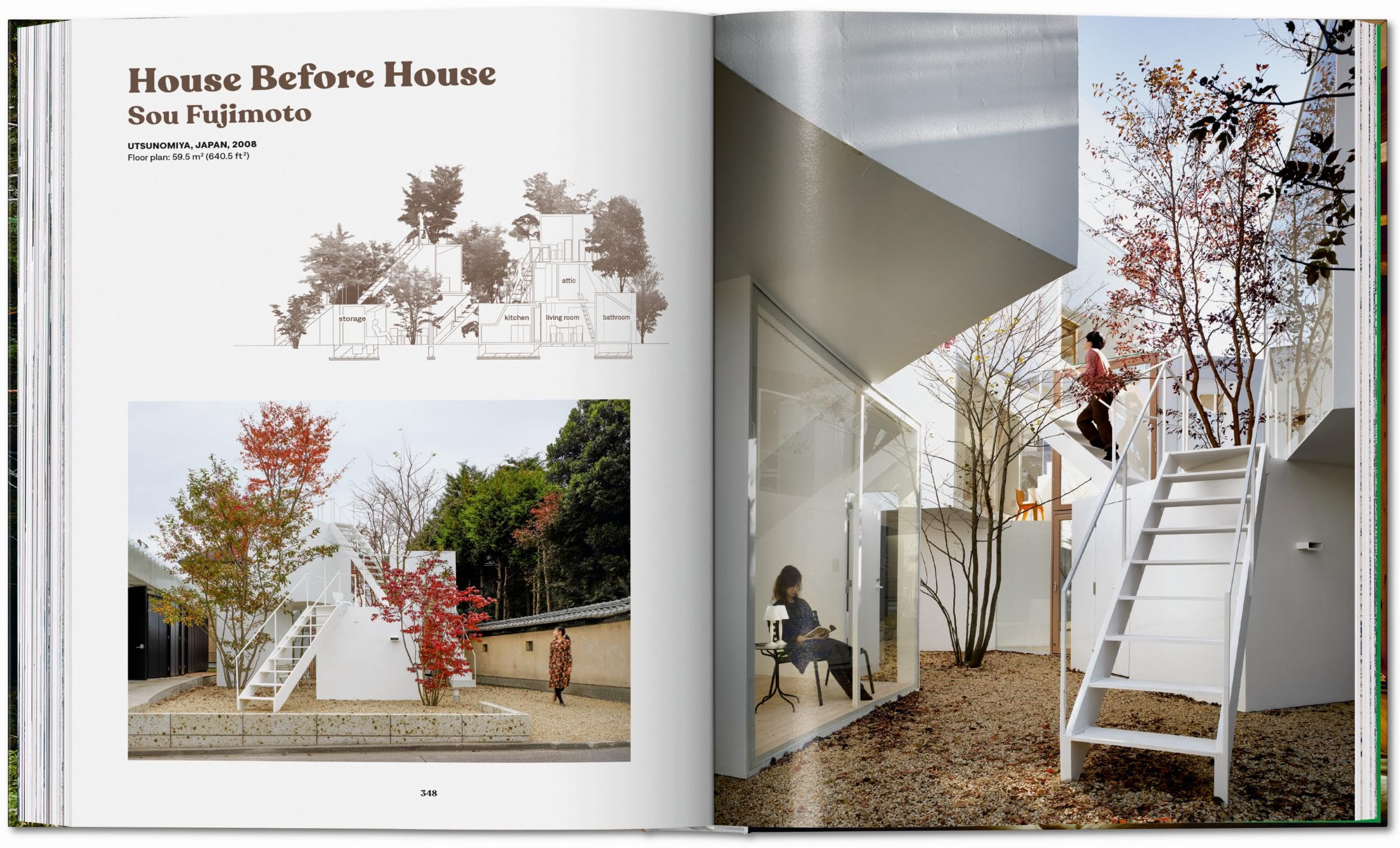 Modern Tree Houses (Jumbo)