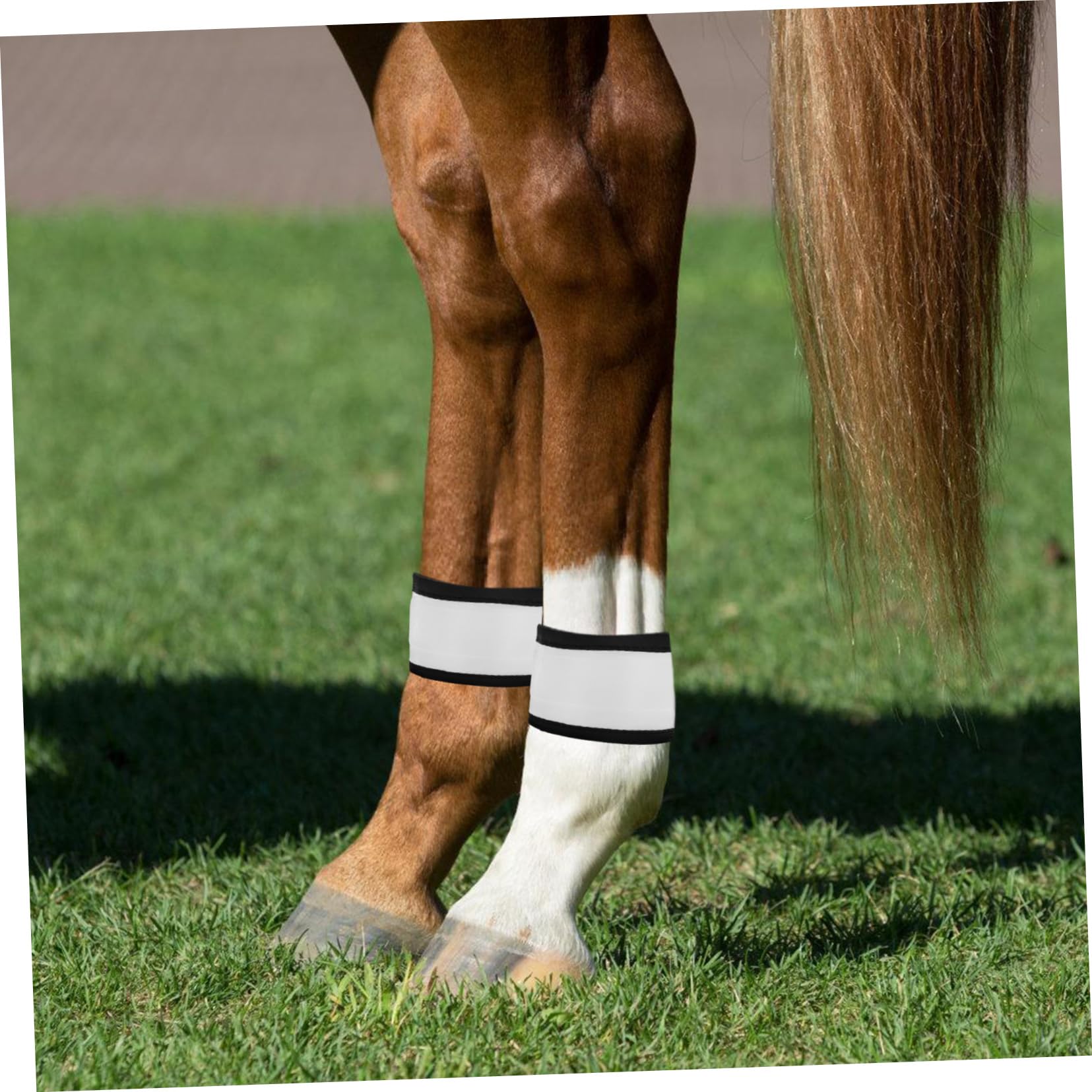 Happyyami 4 Stück Weißer Lederpferdestiefel mit Pferdedecke Reflektierend Vorderzeug für Pferde und Leuchtendes Reiten Zubehör für Sicheres Nachtreiten