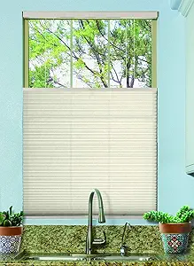 BlindsAvenue Cordless Top Down Bottom Up Cellular Honeycomb Shade, 9/16" Single Cell, Light Filtering, Fawn, Size: 57" W x 48" H