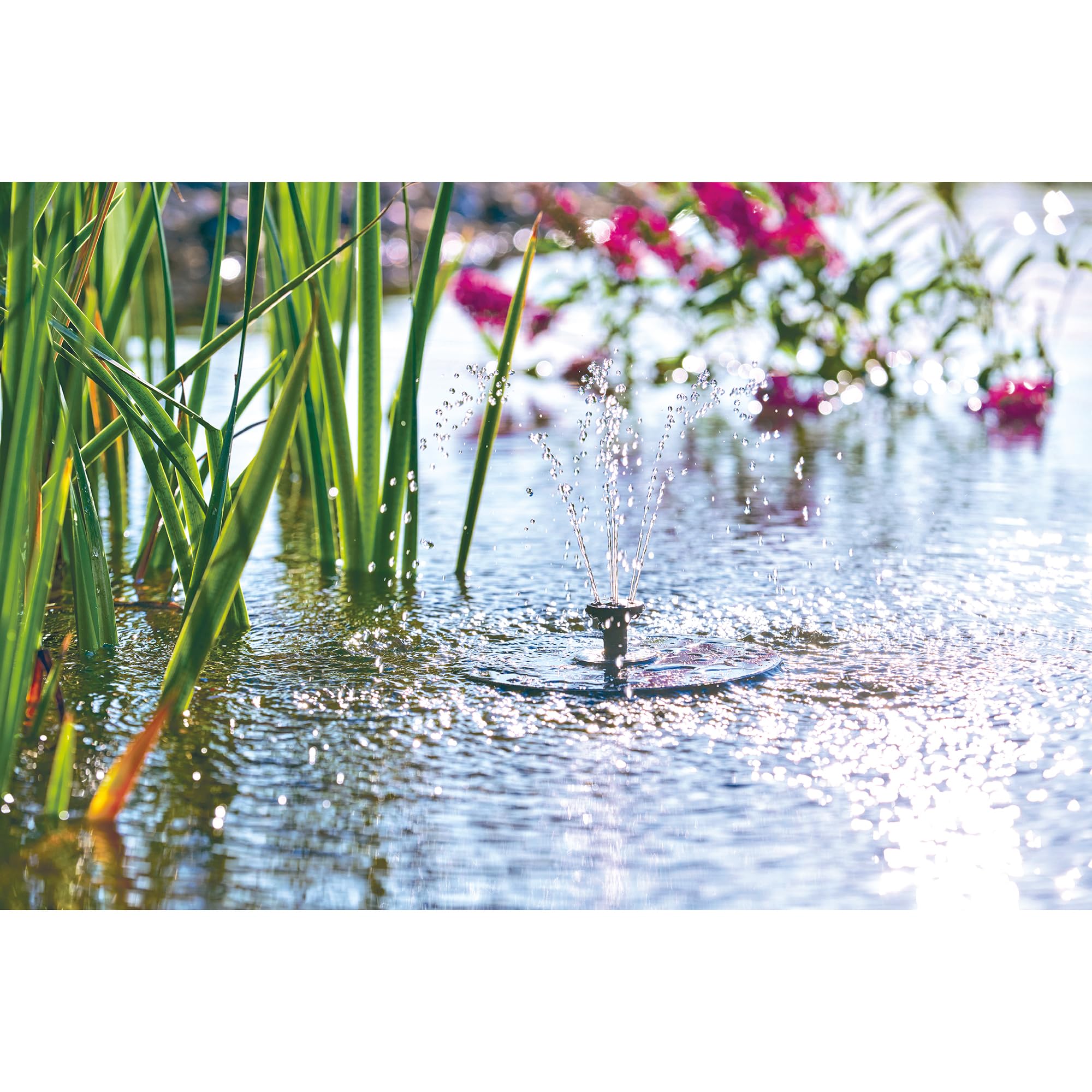 Pontec PondoSolar LED Island Pompe de jeu d'eau solaire avec LED et batterie Fontaine solaire pour étang et petit jardin