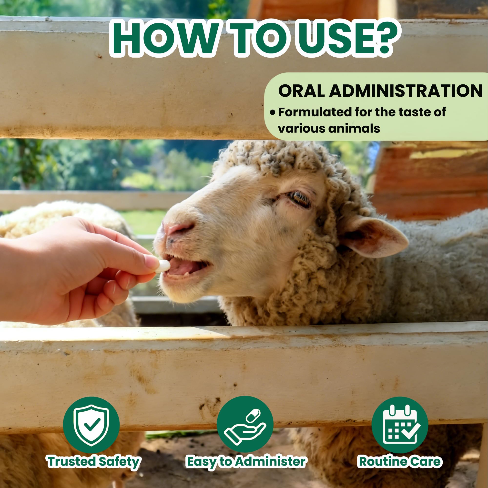 Fenbendazole for Goats, Sheep, Cattle, Poultry & More, 100 Tablets — view 5