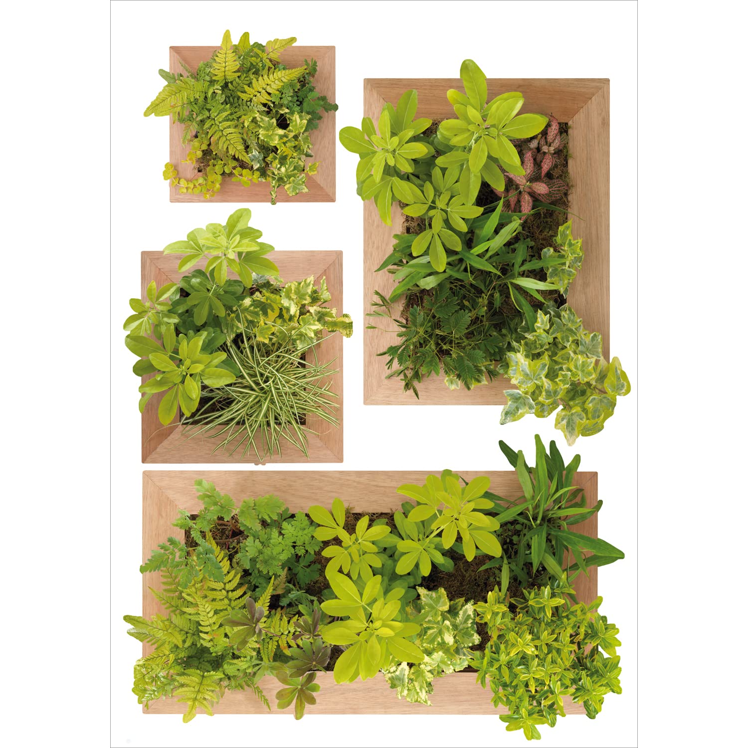 Plage 152706 STICKERS - WALL ADHESIVE - Vertical garden, 1 sheet, 48 x 68 cm