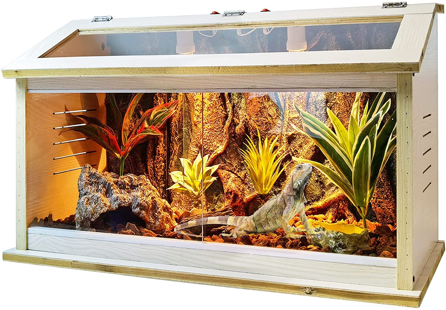 Buy Prolee Reptile Terrarium Tank Large 24" x 16" x 16" Bearded Dragon