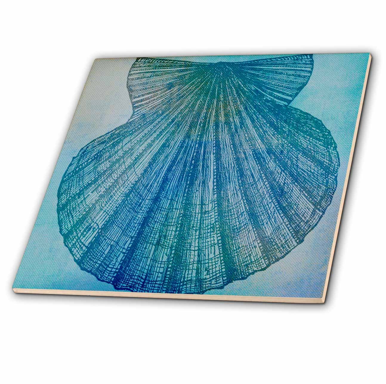 Amazon.com: 3dRose ct_79342_1 Large Aqua Shell Beach Theme Art