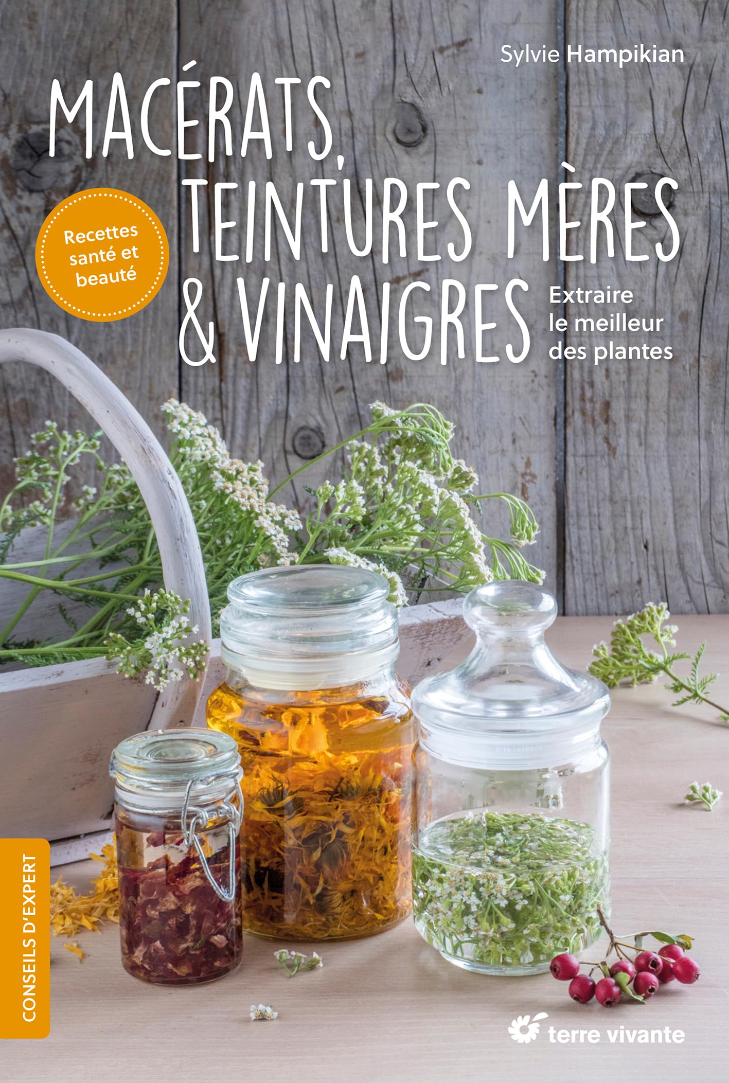 Macérats, teintures mères & vinaigres...: Extraire le meilleur des plantes