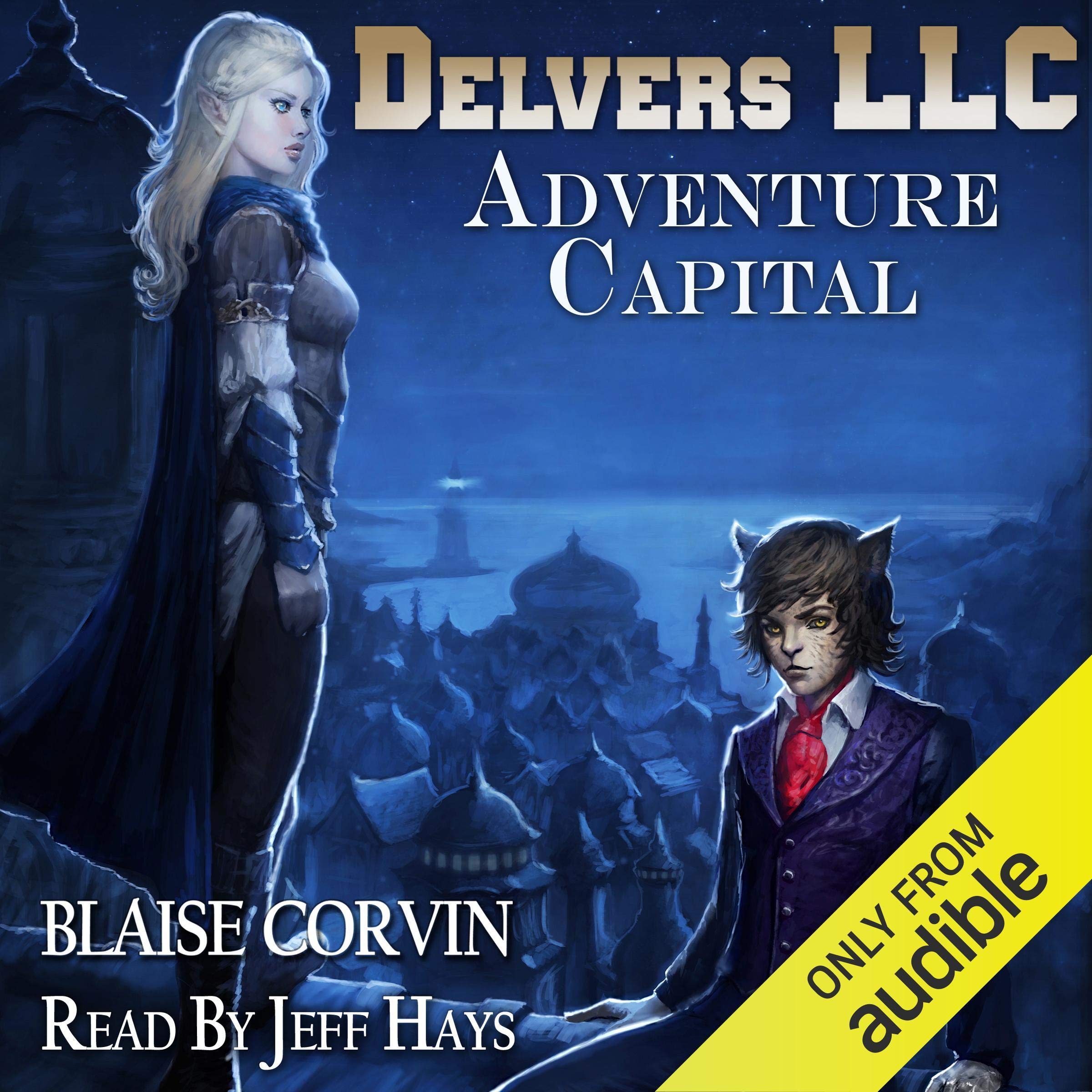 Cover art for Delvers LLC: Adventure Capital
