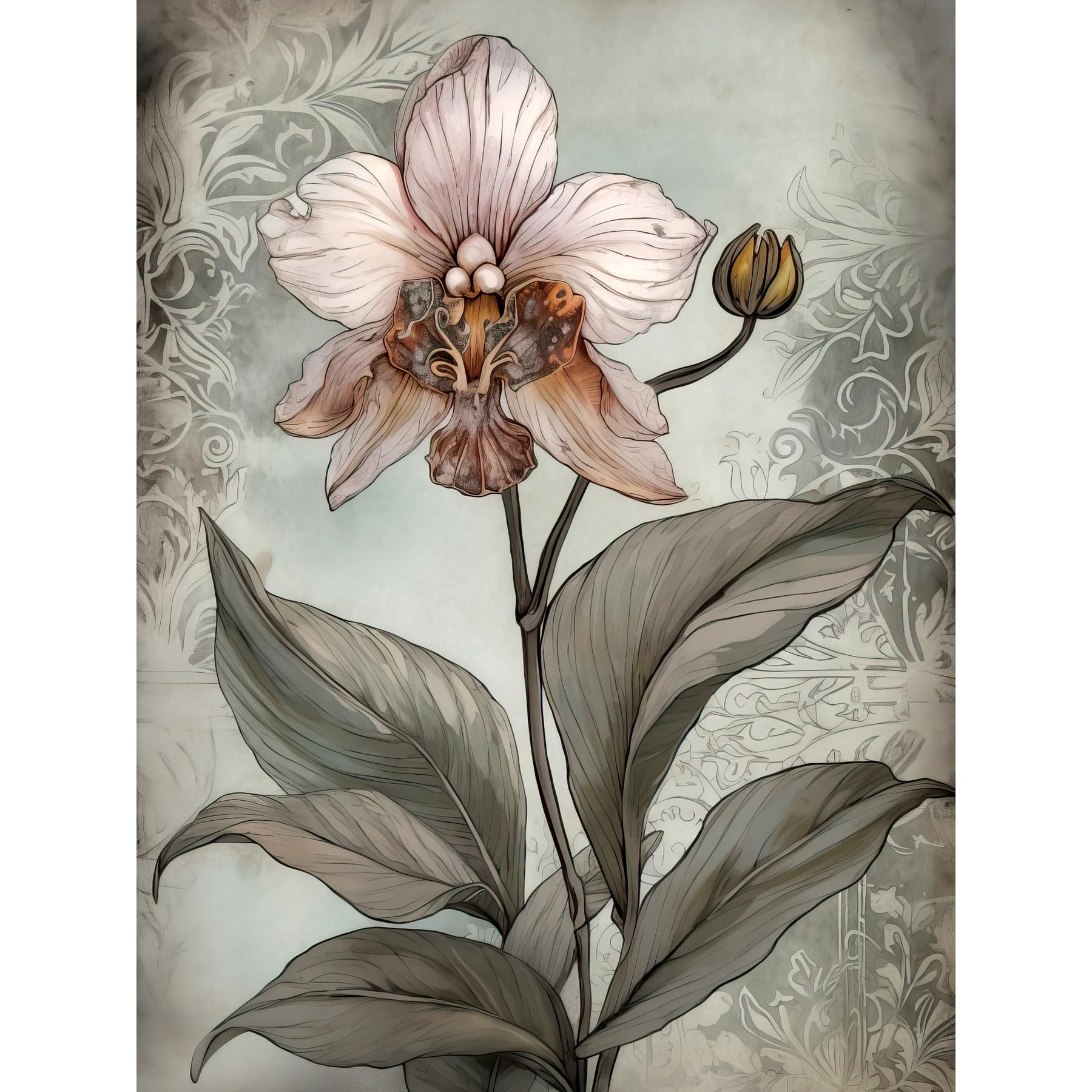 Artery8 Art Nouveau Pink Orchid Bloom Flower Watercolour Large Wall Art Poster Print Thick Paper 18X24 Inch