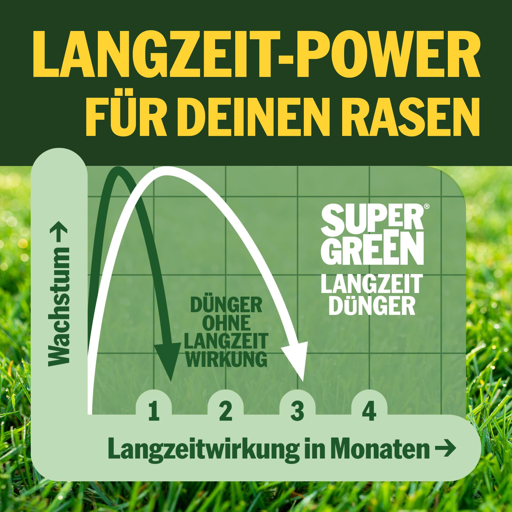 SUPERGREEN Sommer-Rasendünger Langzeitformel 10kg NPK 12-5-15 Granulat 2-5 mm