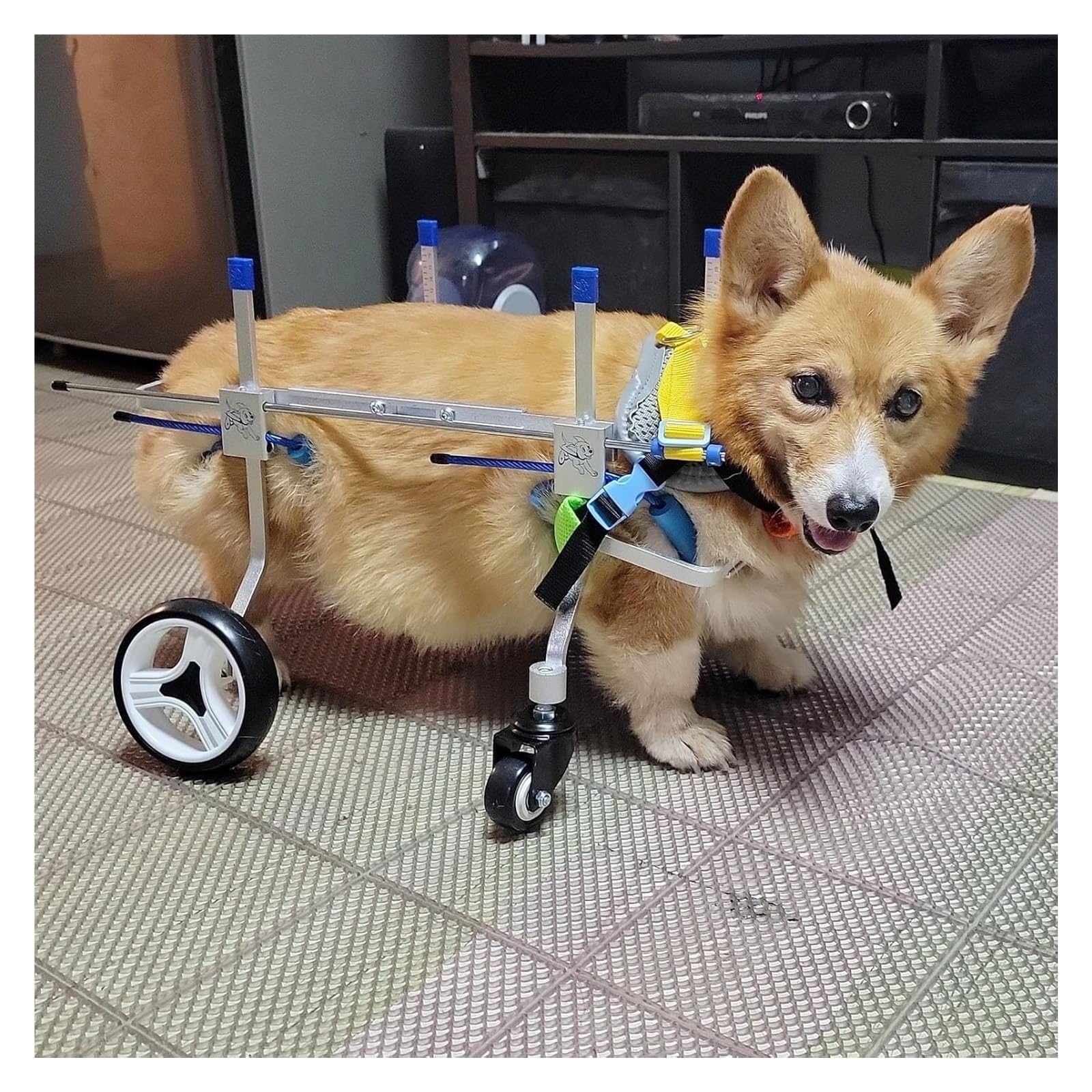 Andador para perros pequeños con movilidad reducida y soporte para patas traseras XS