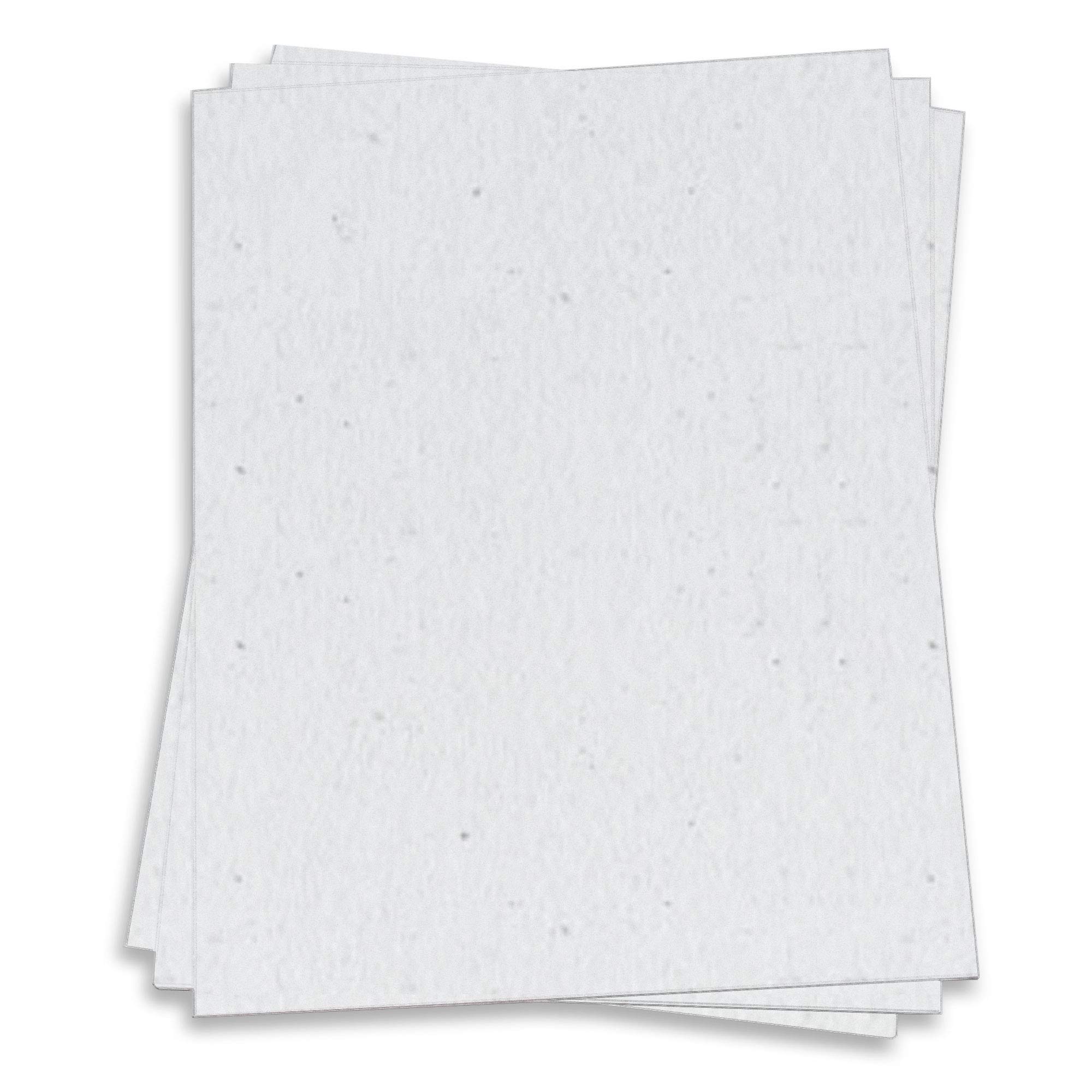 White Card Stock - 8 1/2 x 11 Royal Sundance Fiber 80lb Cover, 2000 Pack