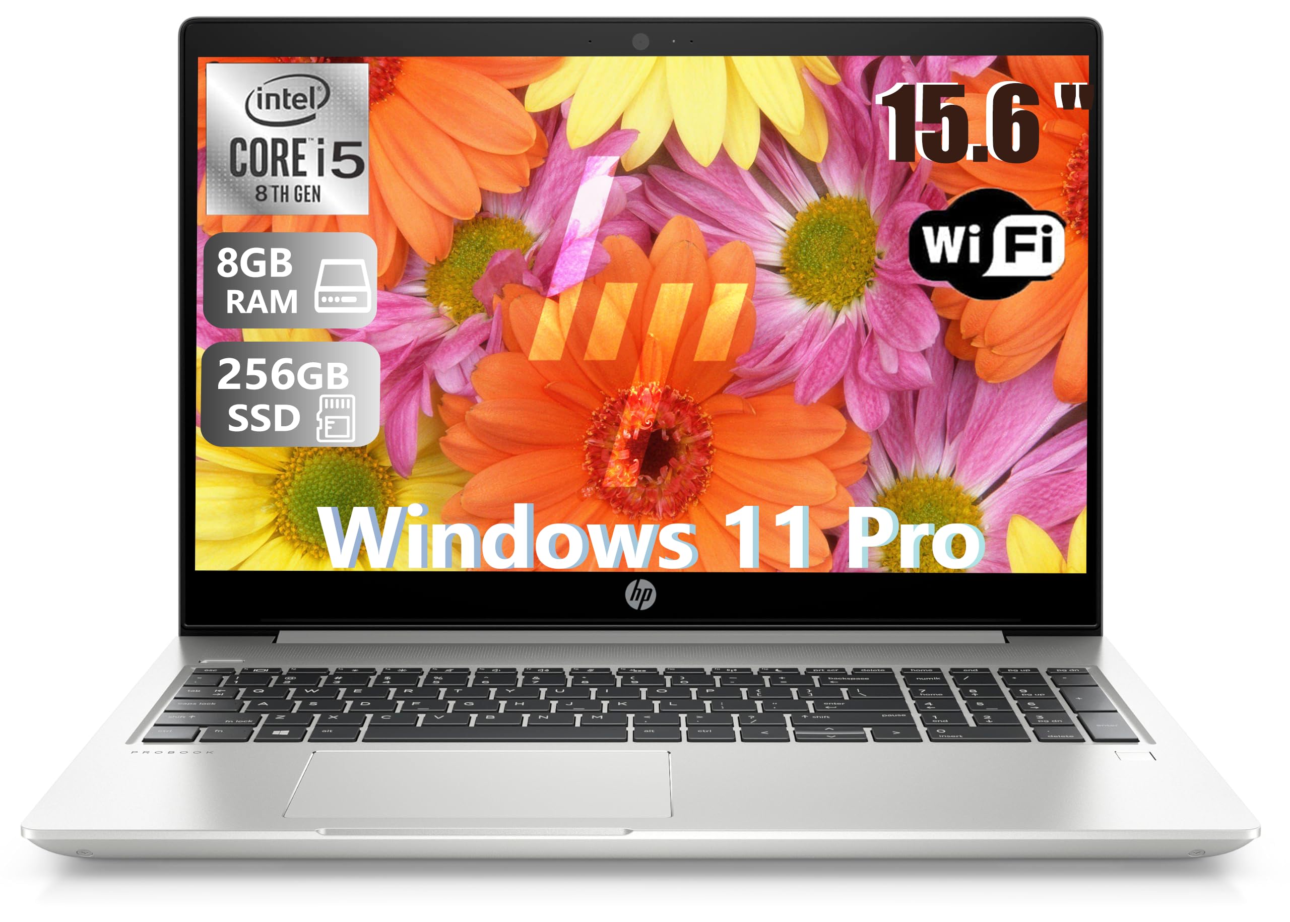 HP ProBook 450 G6 Business Laptop 15.6 pollici (1366 x 768), Intel Core i5-8265U, 8 GB RAM, SSD da 256 GB, tastiera QWERTY giapponese, Windows 11 Pro (ricondizionato)