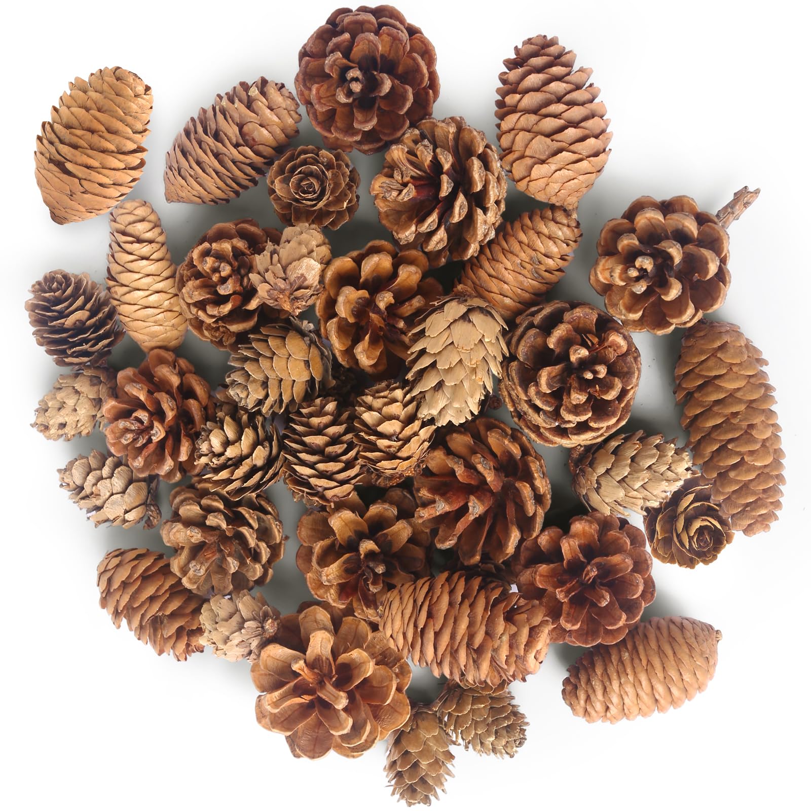 DomeStar 40PCS Pine Cones for Craft, Natural Pine Cones Bulk Pine Cone Ornaments for Decorating Thanksgiving Christmas Wreath Table Bowl Decor