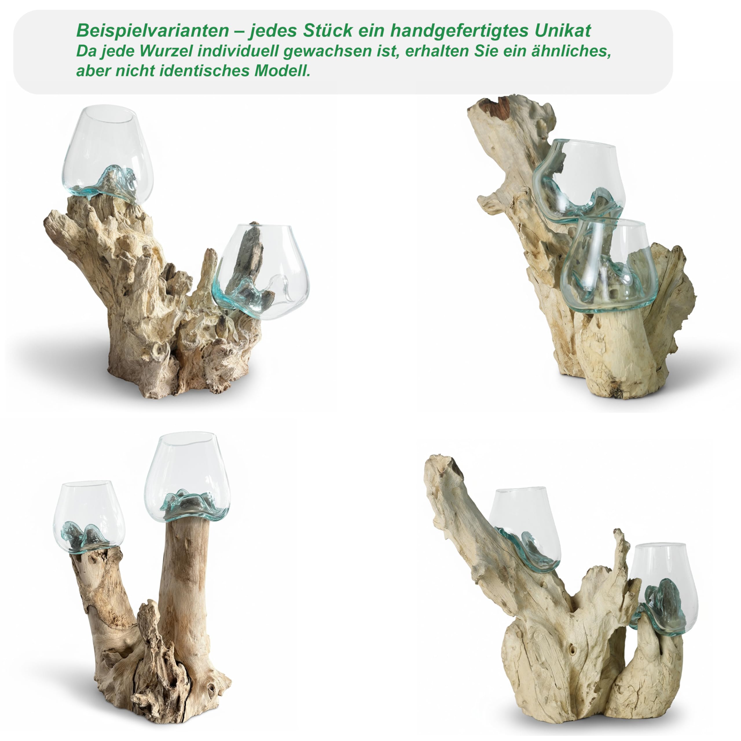 ART-CRAFT Handgefertigte Gamalwurzel mit 2 mundgeblasenen Recyclingglas-Schalen, Natur-Unikat, nachhaltige Wurzelholzkunst, ca. 40x20x20 cm, Vase, Terrarium, Einzelstück, Deko für Wohnzimmer