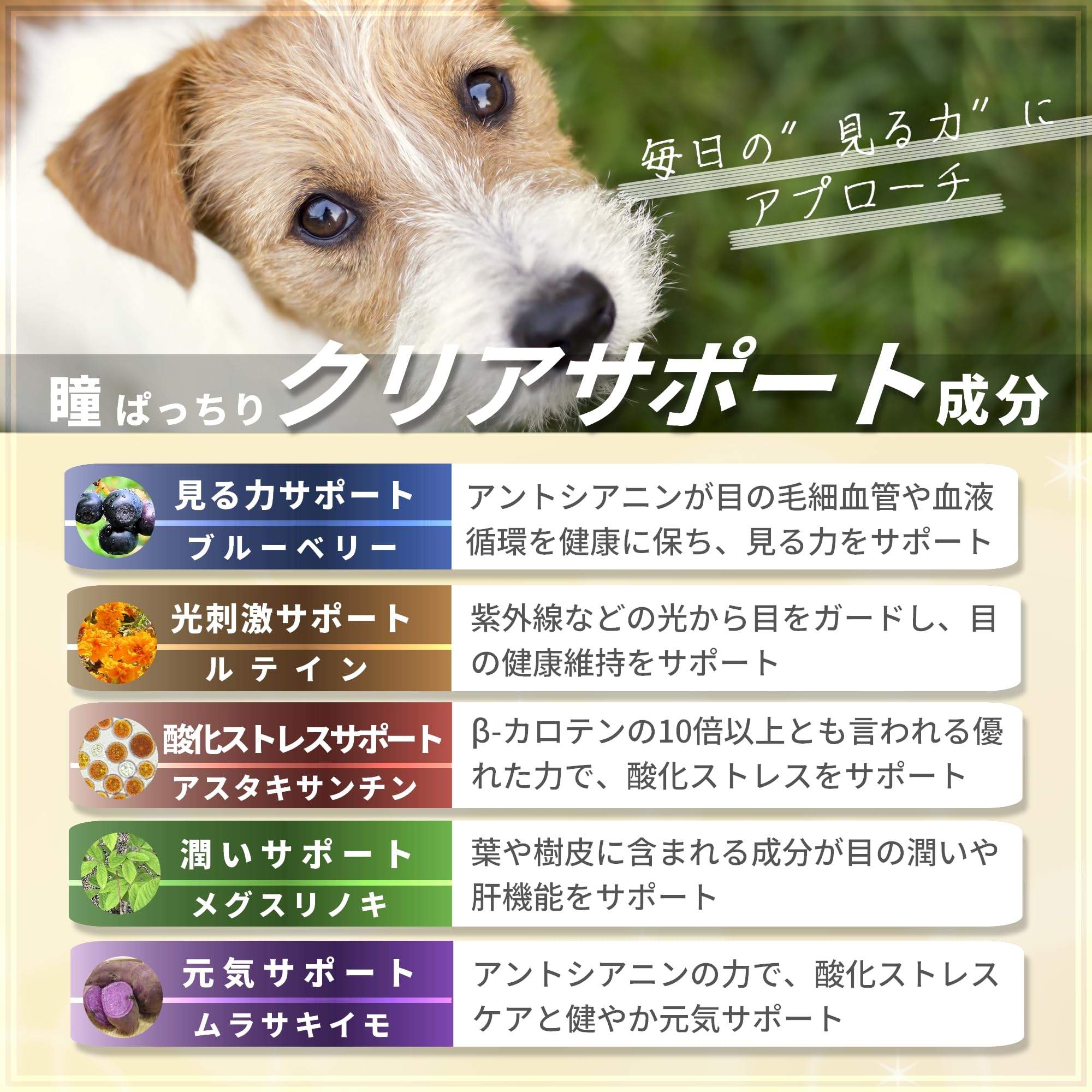 Amazon | 視界が気になる愛犬へ 犬専用サプリメント ペッツプラス