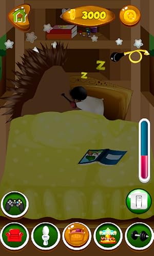 Falar Hedgehog