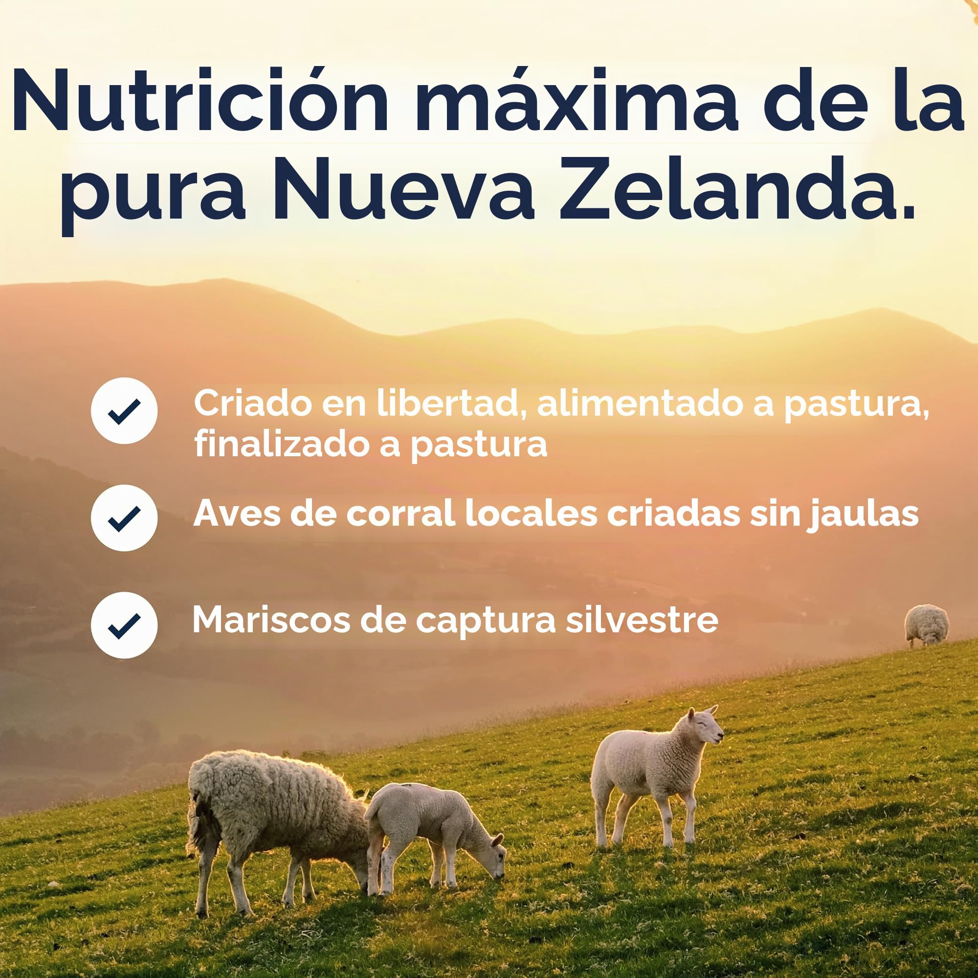 ZIWI Peak Steam & Dried Chicken with Whole Mackerel, 2.2 kg - Alimento seco Natural para Gatos con Alto Contenido de proteínas, Alternativa cruda y sin Granos, alimento seco Completo para Gatos