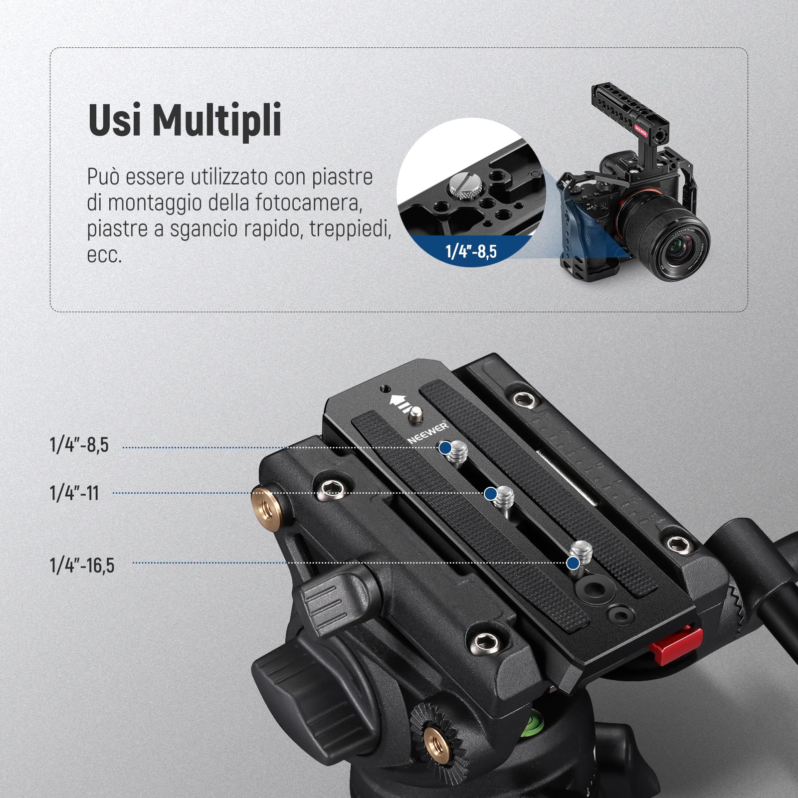 NEEWER UA076 Set Di Vi Ad Anello A D Da 1/4" In Acciaio