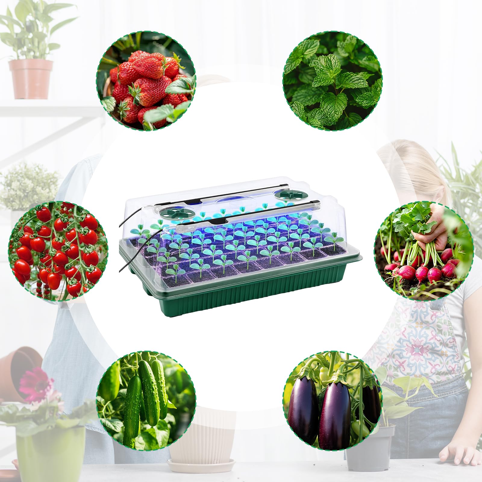 Invernadero, 3PCS Macetas De Cultivo Invernadero Pequeño Conjunto De Cultivo Invernadero De Interior 120 Celdas con Lámpara para Plantas para El Crecimiento De Plantas Y La Germinación De Semillas