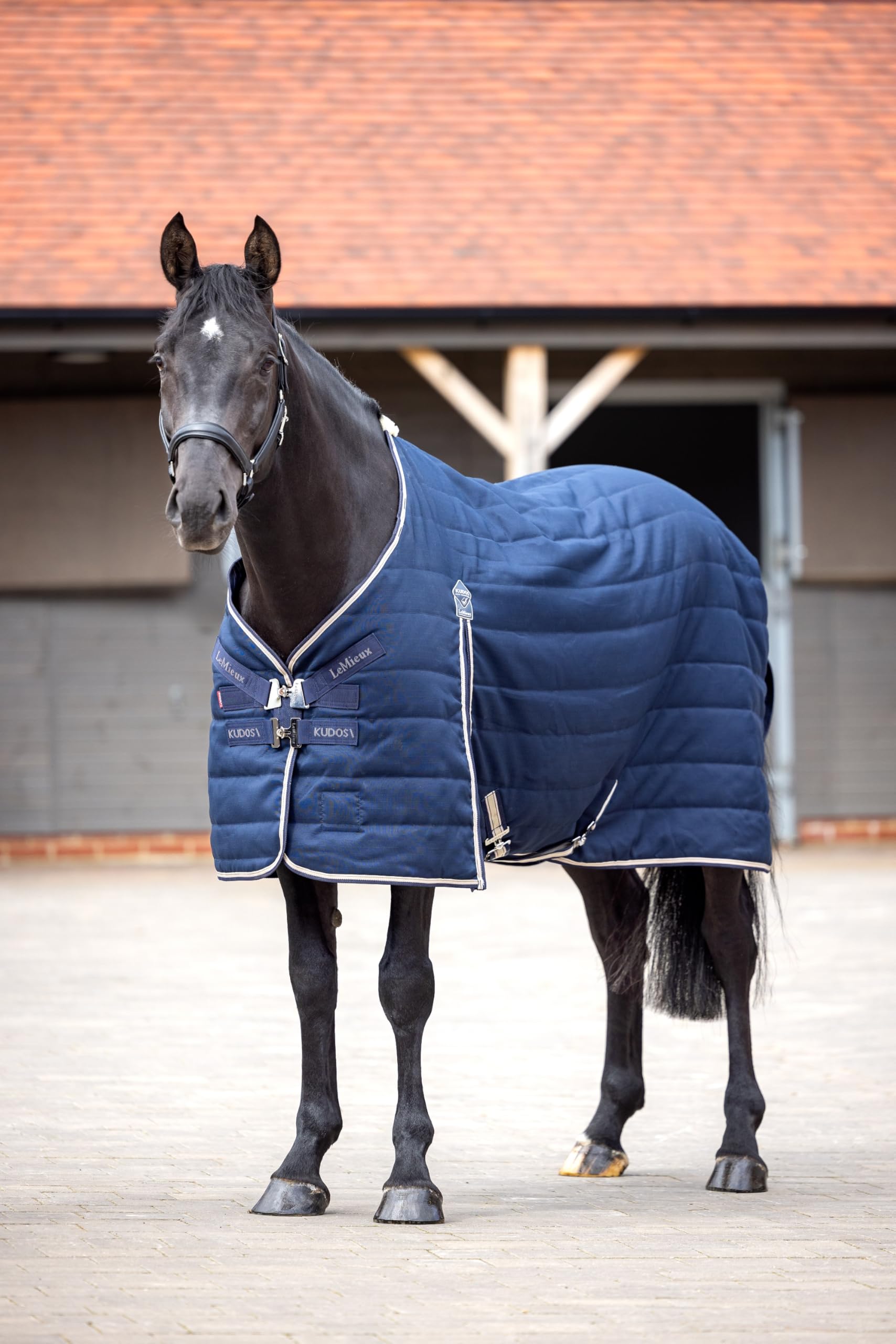 LeMieux Kudos Stable Rug 200g - 1000D Ripstop Stain Repellent Outer - Navy - 7ft