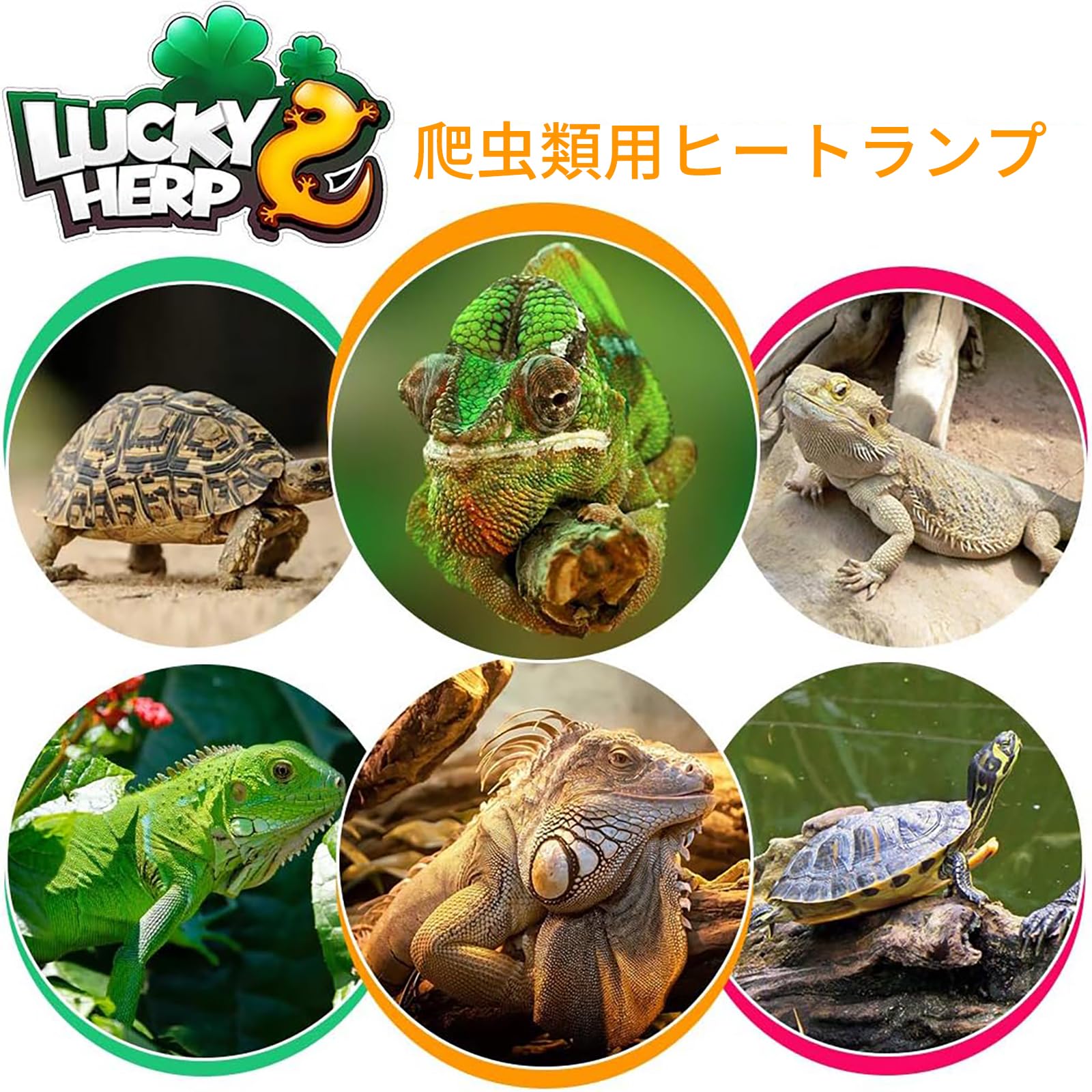 爬虫類　各種UVランプ　保温ランプセット　未使用　ジャンク品扱い 三晃商会 REPTIZOO スーパーサンUV 100W 爬虫類 ライト 紫外線