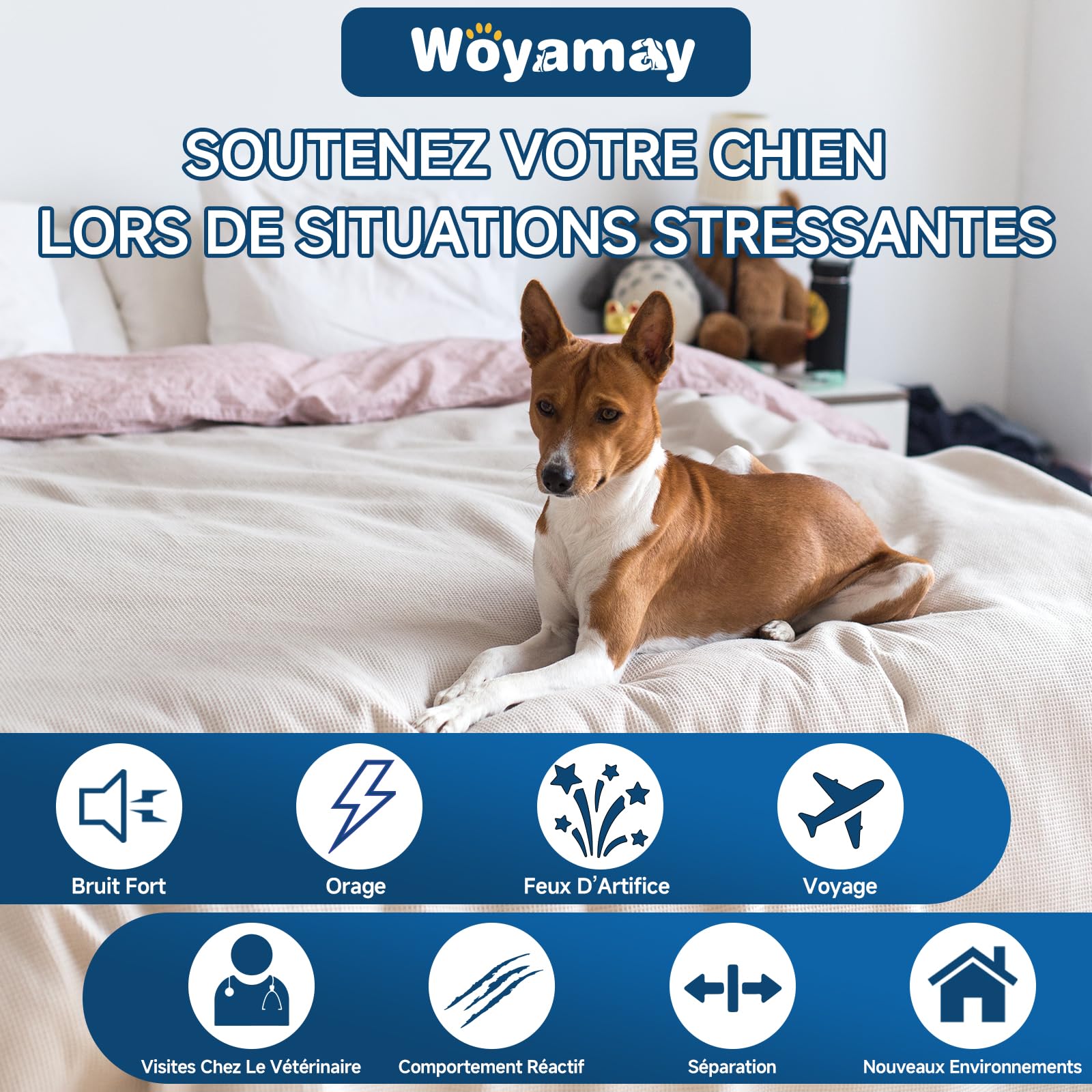 Woyamay Calmantes pour Chien, 200 Pièces Calmant à Mâcher pour Chiens, pour Accompagner Lors de Moments de Séparation, Voyage, Feux d’Artifice ou Orages, Saveur Poulet