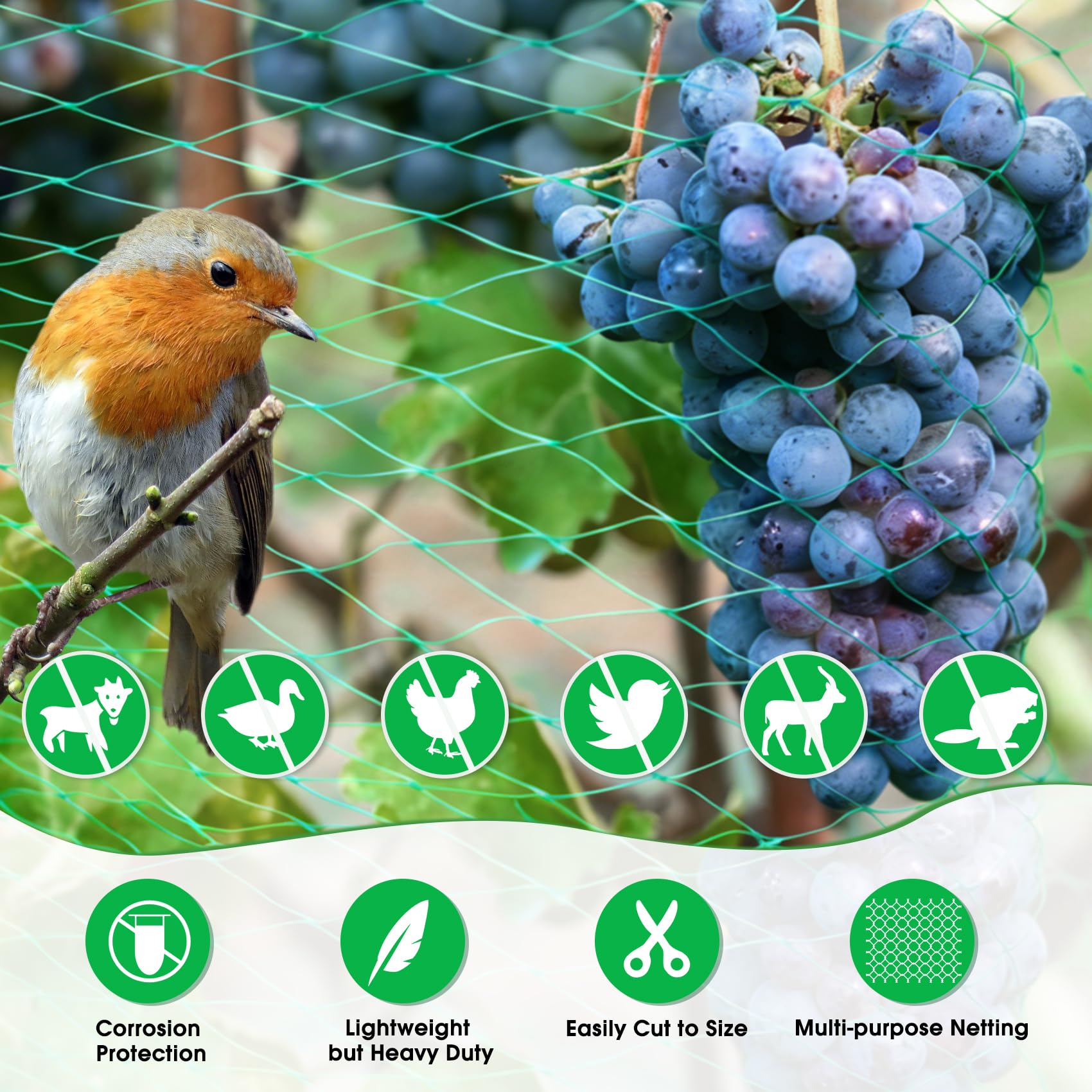 Filet Anti Oiseaux de Jardin Protecteur 4M x 20M Mailles Réutilisable