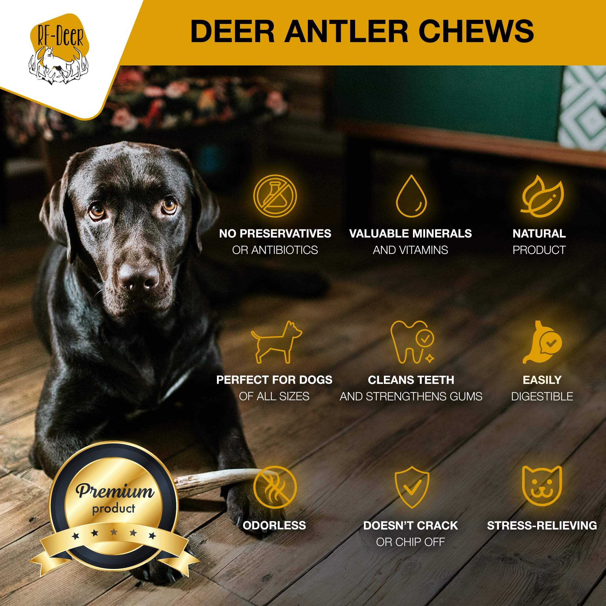 RF-Deer