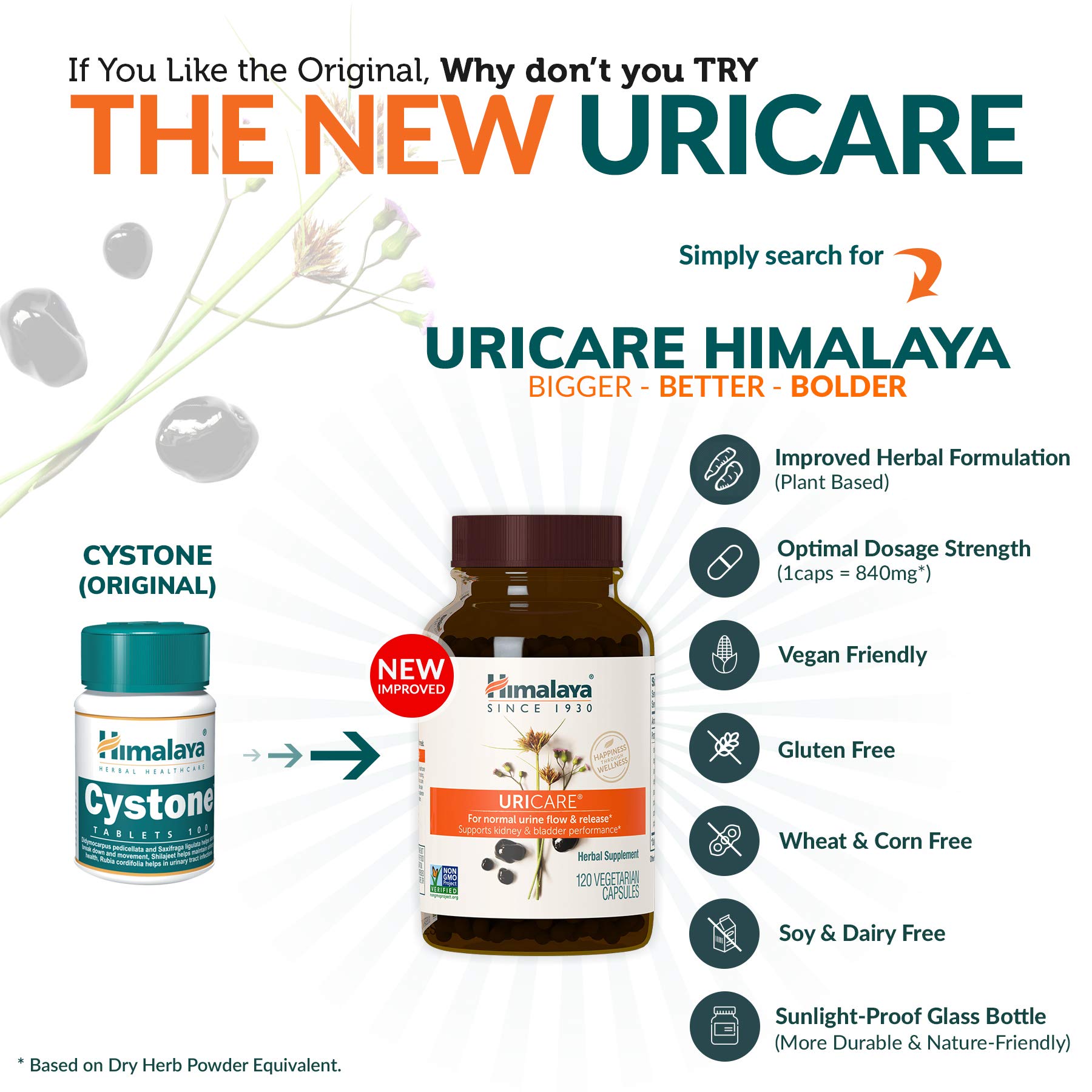 Himalaya Herbals Cystone Herbal Food Supplement Helps Ensure Normal