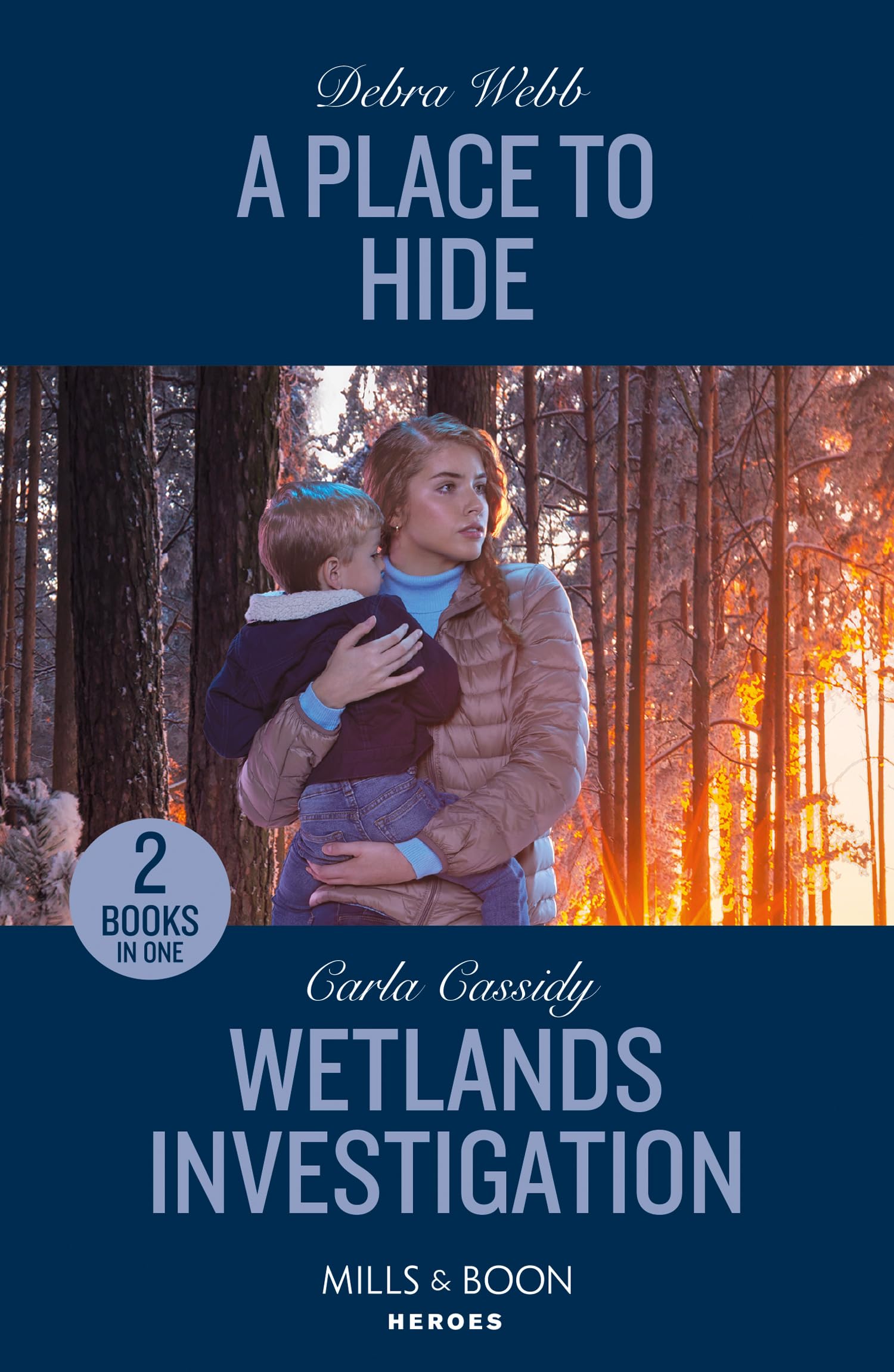 A Place To Hide / Wetlands Investigation: A Place to Hide (Lookout Mountain Mysteries) / Wetlands Investigation (The Swamp Slayings)
