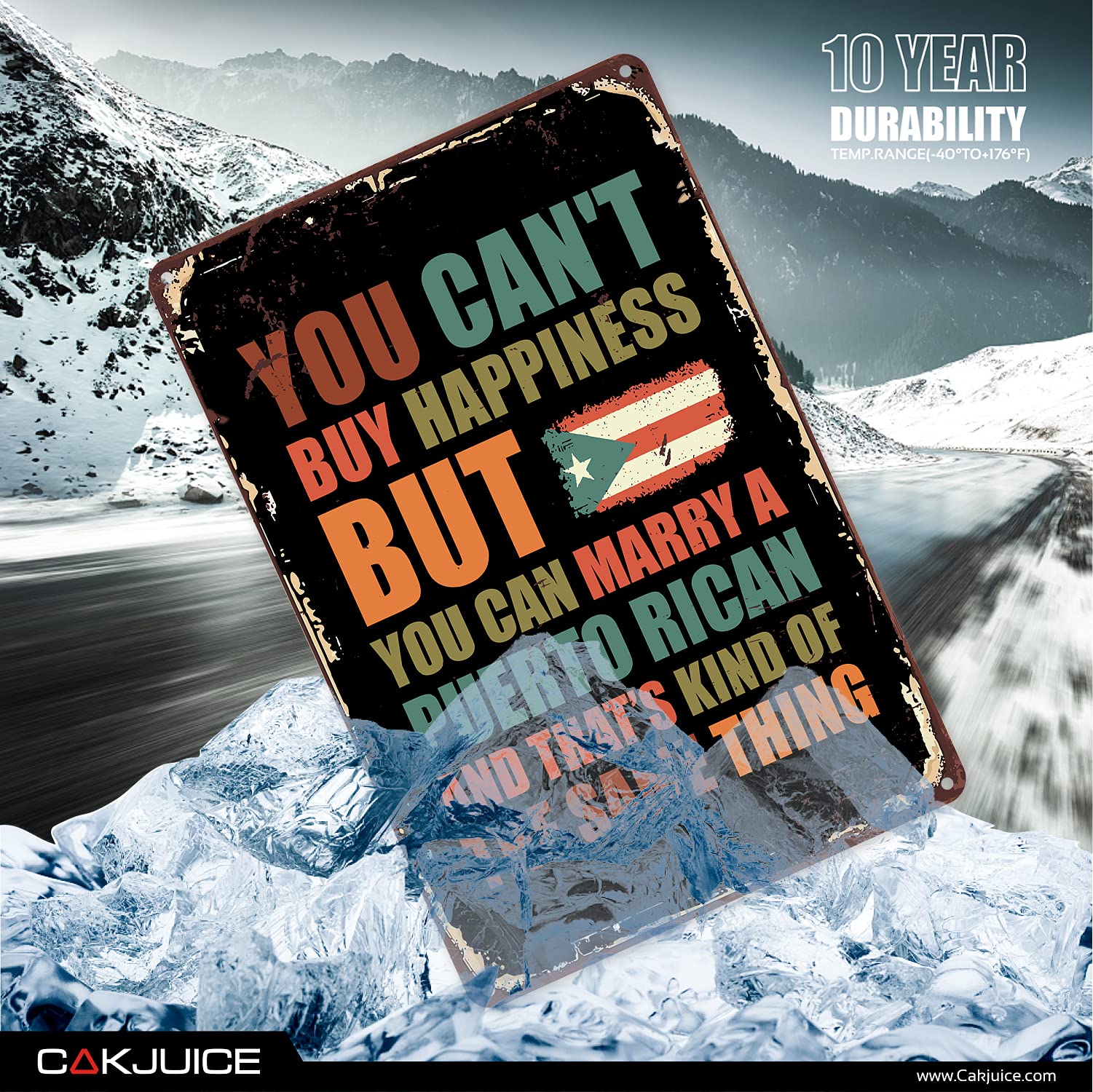 Plaque en métal « You Can't Buy Happiness But You Can Buy Ice Cream » 20,3 x 30,5 cm
