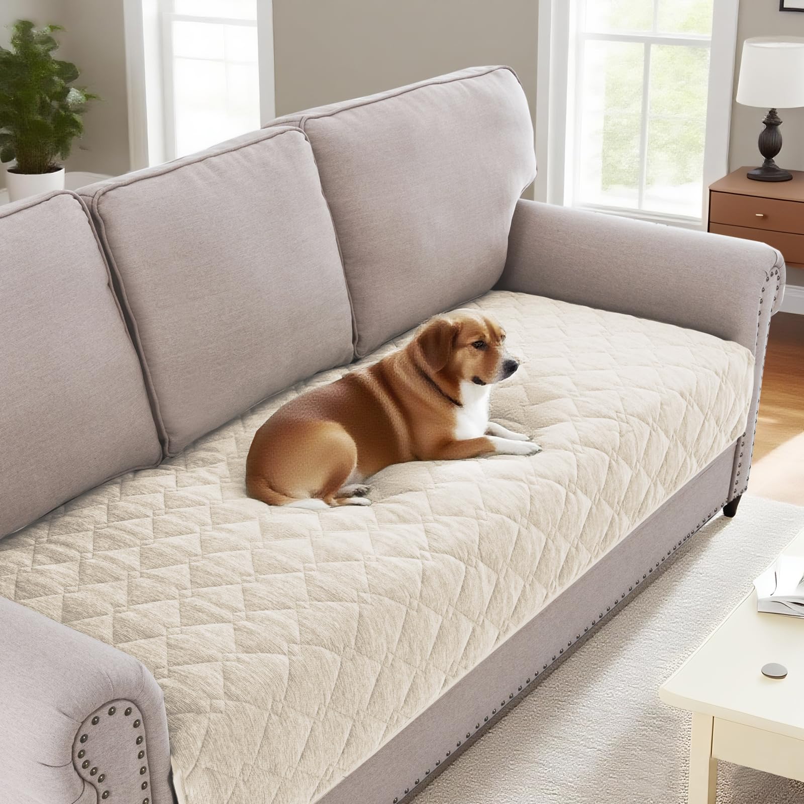 BellaHills Soft Chenille Sofa Cover Pet Fuzzy Sofa Covers for 3 Cushion Couch Anti Slip Sofa Slipcovers with Strap Furniture Protector Cover for Dogs Cats Kids (90 x 210cm, Ivory)