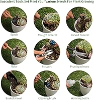 Vista 3 de 11 piezas de herramientas para suculentas, mini herramientas de jardín, herramienta de riego de suculentas como accesorios para plantas, kit