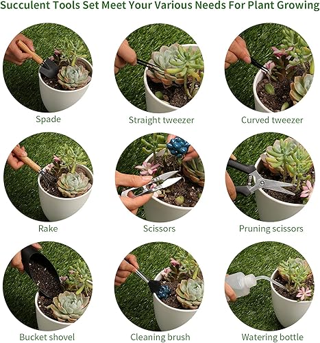 Miniatura 3 de 11 herramientas para suculentas, mini herramientas de jardín, herramienta de riego de suculentas como accesorios para plantas, kit de herramientas