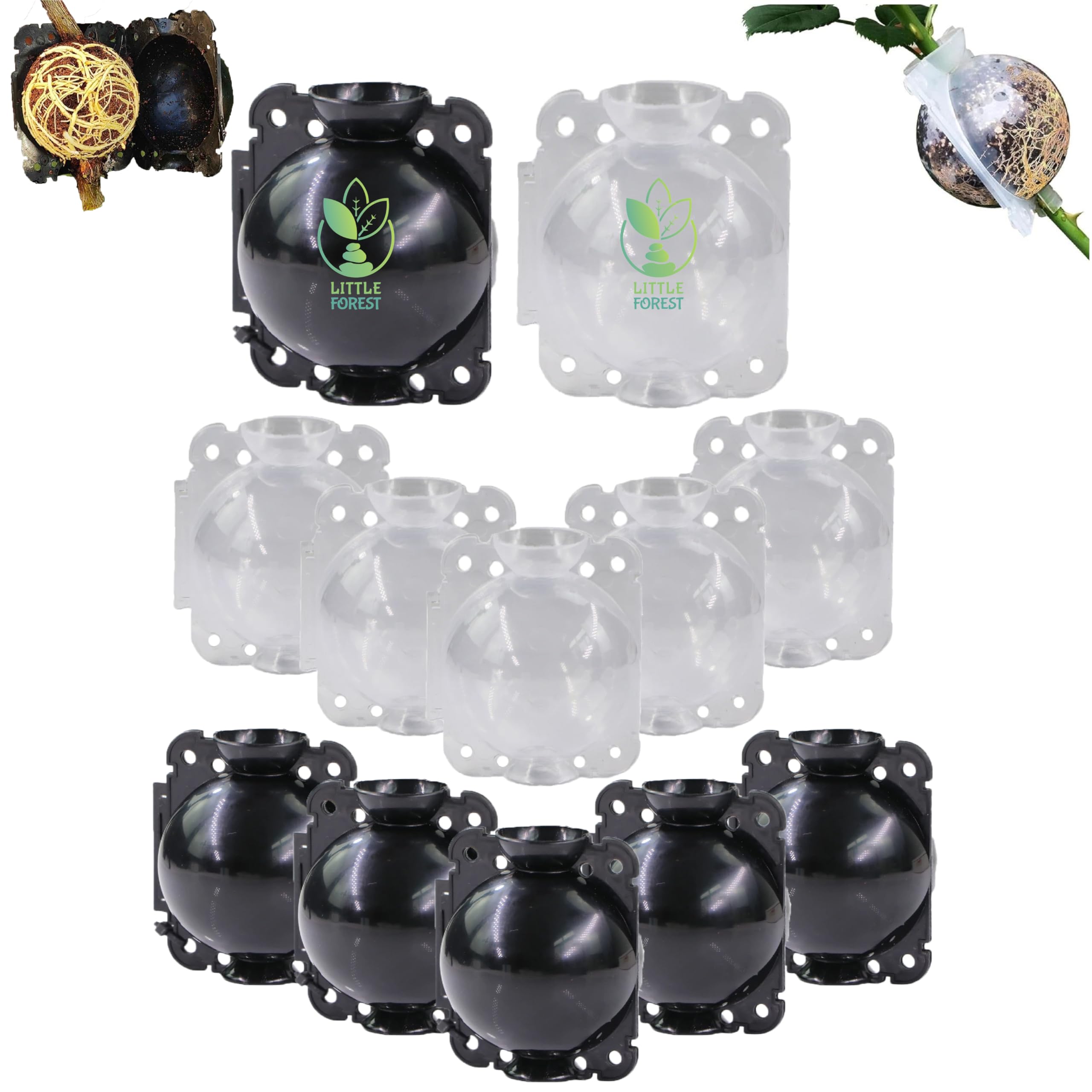 Little Forest - 3 Inch Transparent & Black COMBO Plastic Rooting Ball, Plant Rooting Propagation Ball, Faster Root growth, 100% Virgin plastic, reusable, Selflocking (Black - 5pcs, Transparent - 5pcs)-image-48