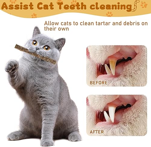 Miniatura 5 de WoLover Silvervine - Palitos para gatos, palitos naturales de hierba gatera Matatabi masticar dientes molar juguetes para gatos gatitos (25 piezas)