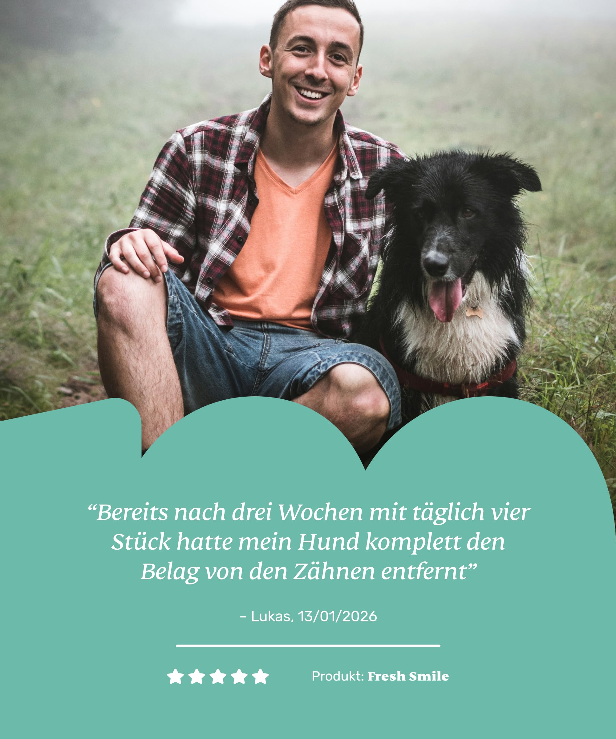 10-in-1 Zahnpflege Leckerli für Hunde - Fresh Smile 440 Snacks (1300g) von mammaly - Gegen Mundgeruch, Zahnstein mit Pfefferminz, Seealge, Vitamin C, Petersilie u. v. m. für Maulhygiene, Mundpflege
