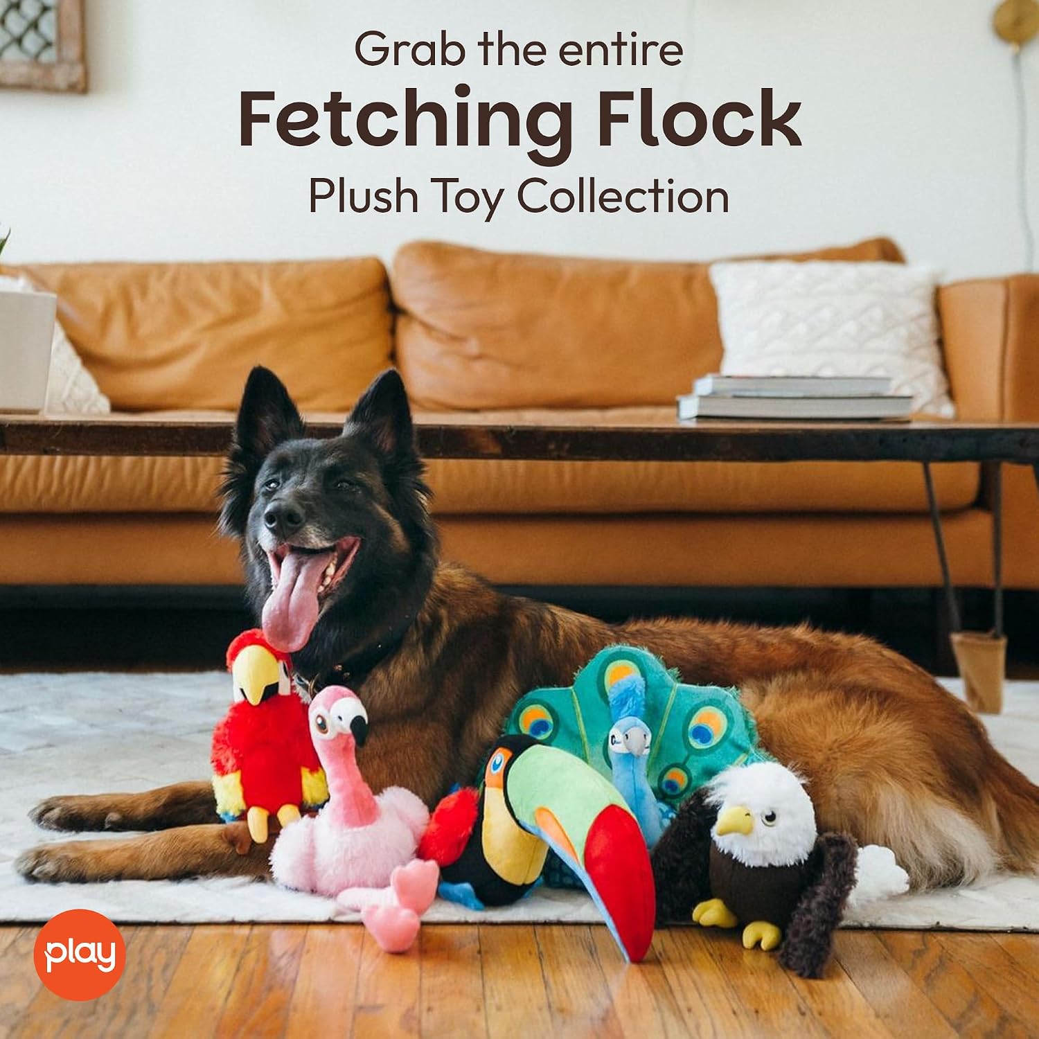 P.L.A.Y. Cute Dog Toys - Fetching Flock, Bird Themed Durable Plush Squeaker Chew Toy for Puppies & Small, Medium, Large Dogs - Machine Washable, Recycled Materials (Tito the Toucan) image 5