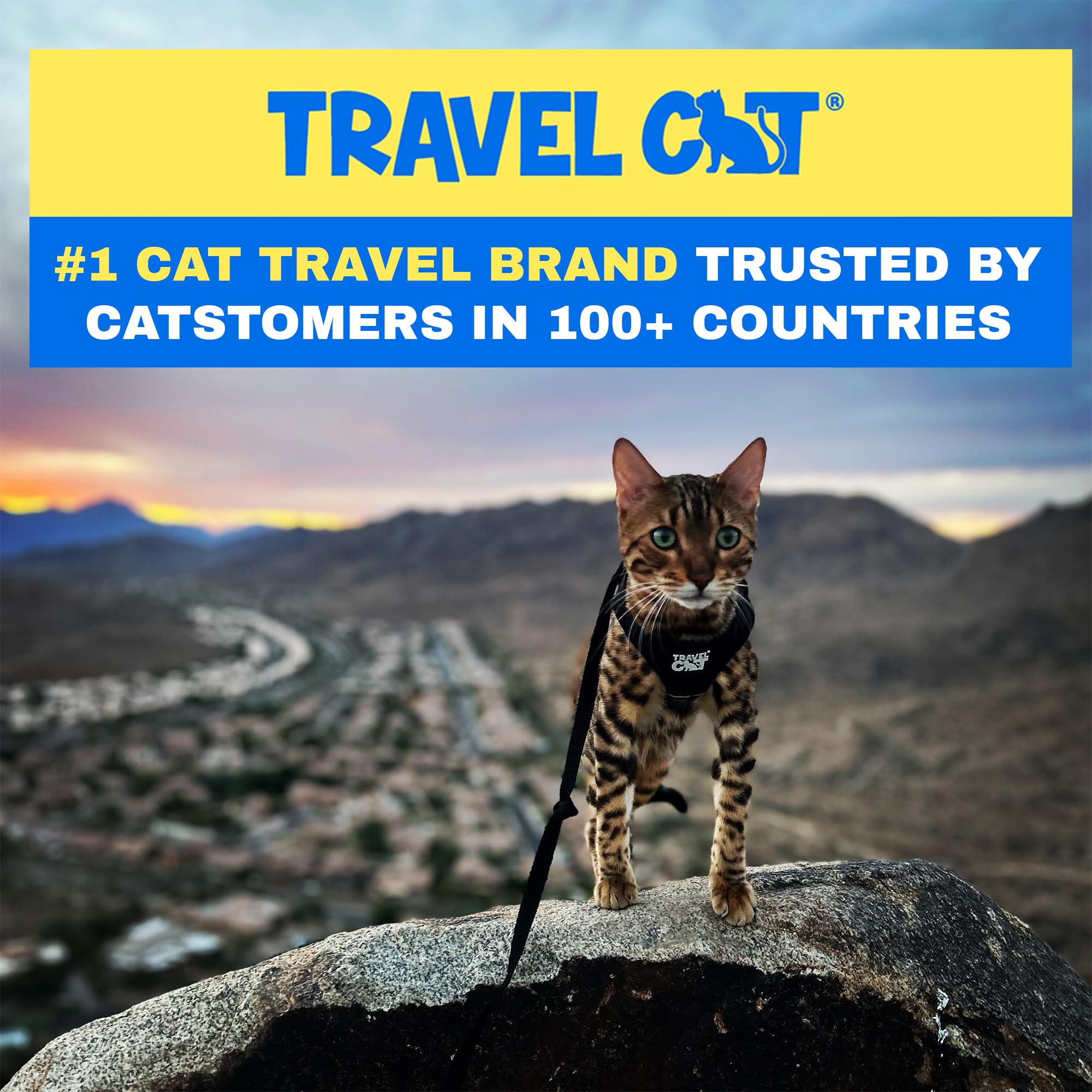 Travel Cat: The True Adventurer - Juego de arnés y correa reflectante para gatos y gatitos para caminar, ligero, transpirable, ajuste cómodo, correa fuerte con clip resistente a presión