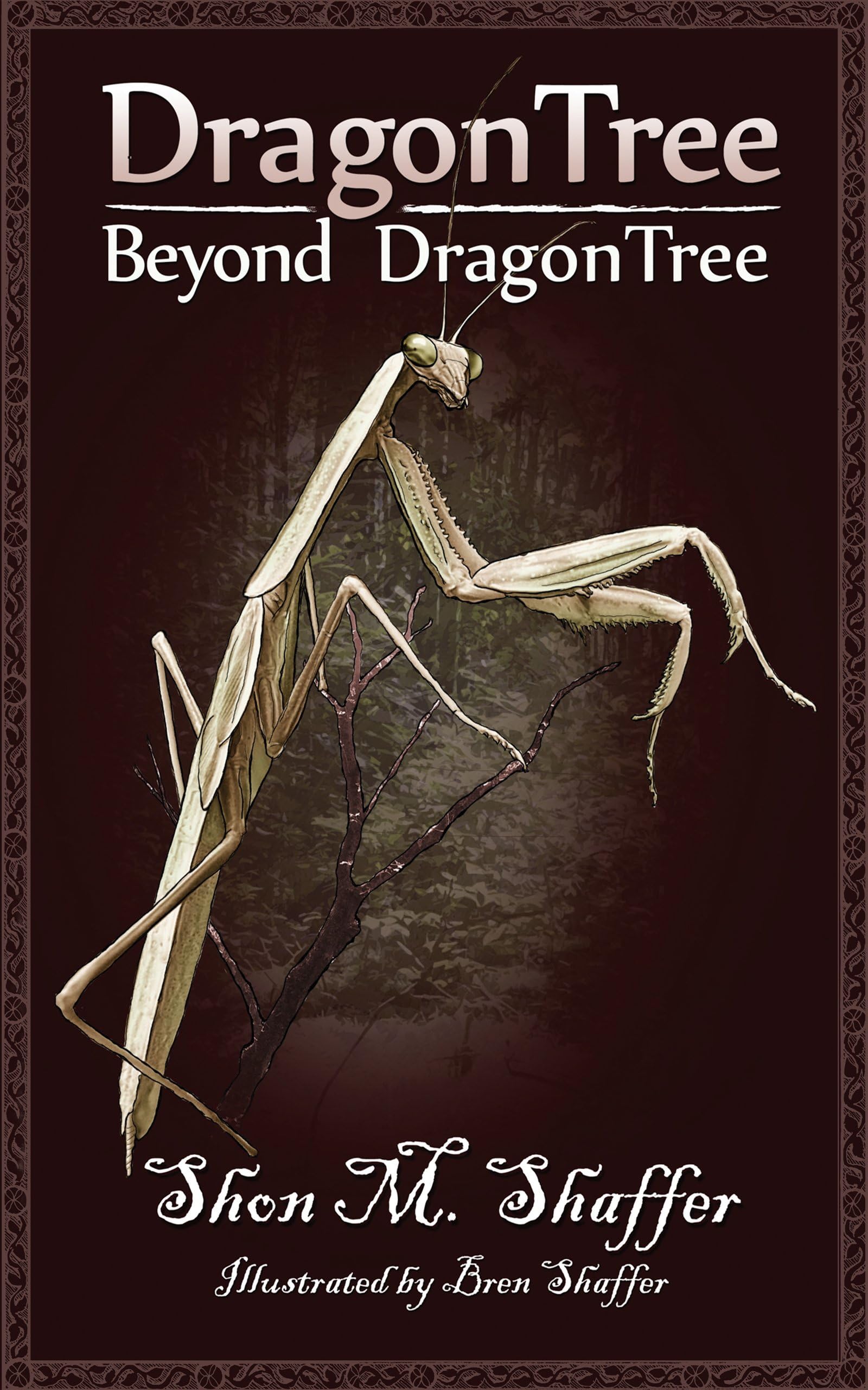 DragonTree: Beyond DragonTree