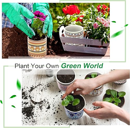 Miniatura 2 de Feoxialy Succulent Plant Pots 6 Pack with Drainage 3.1 Inch Cylinder Flower Pots Small Ceramic Pots for Plants Indoor&amp;Outdoor Garden Flower Planter