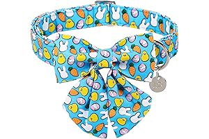 Adorable Easter Dog Collar for the Special Boy in Your Life