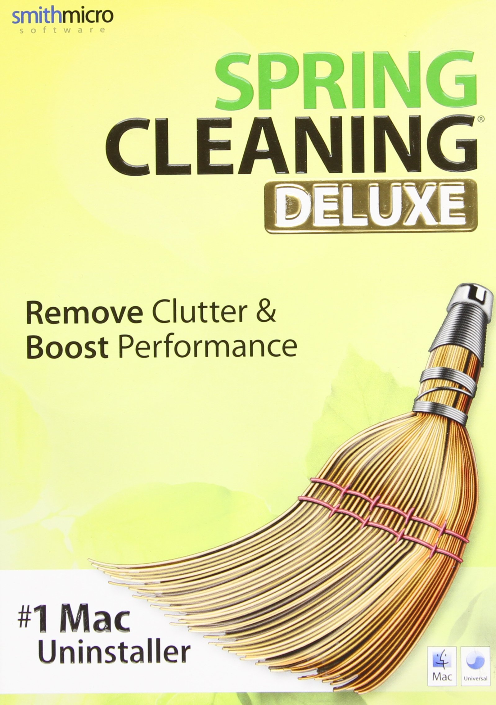 Spring Cleaning Deluxe 11