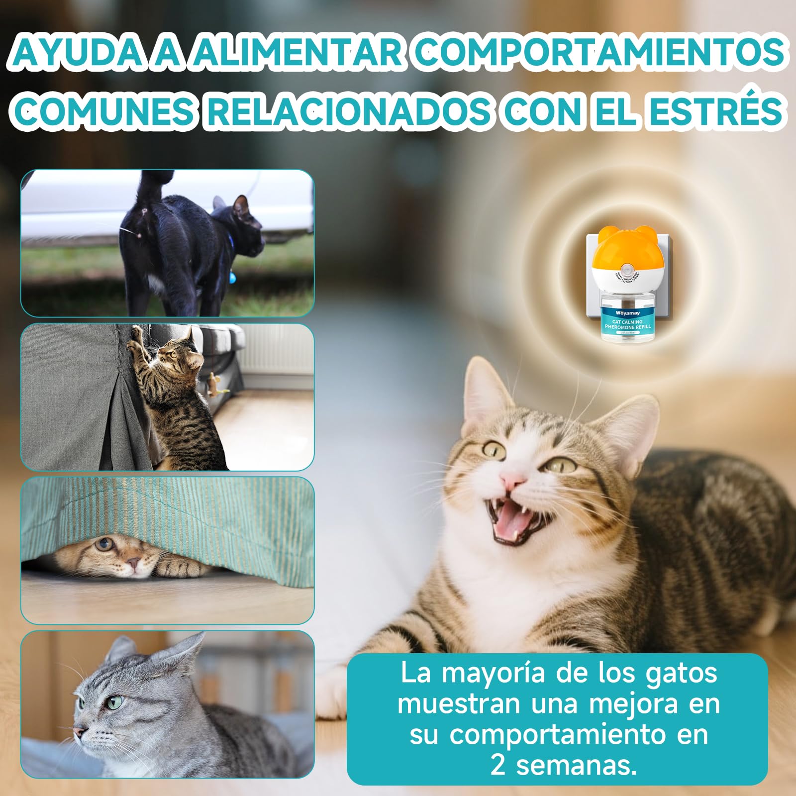 Woyamay Recambios de Difusor de Feromonas para Gatos, 6 Unidades Calmante Gatos y Tranquilizante para Gatos, Relajante para Gatos con Suministro de 6 Meses, Feromonas Gatoshasta 180 Días