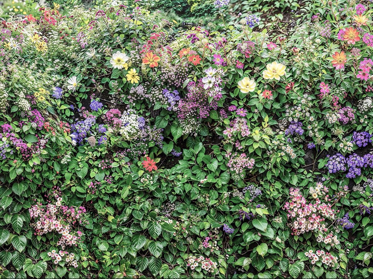 Summer Flower Medley Garden Mural, Tapestry & Curtain Waterproof Outdoor Wall Hanging, Colourful Floral Wall Art & Garden Fence Decor W94.49 inches x H70.87 Inches
