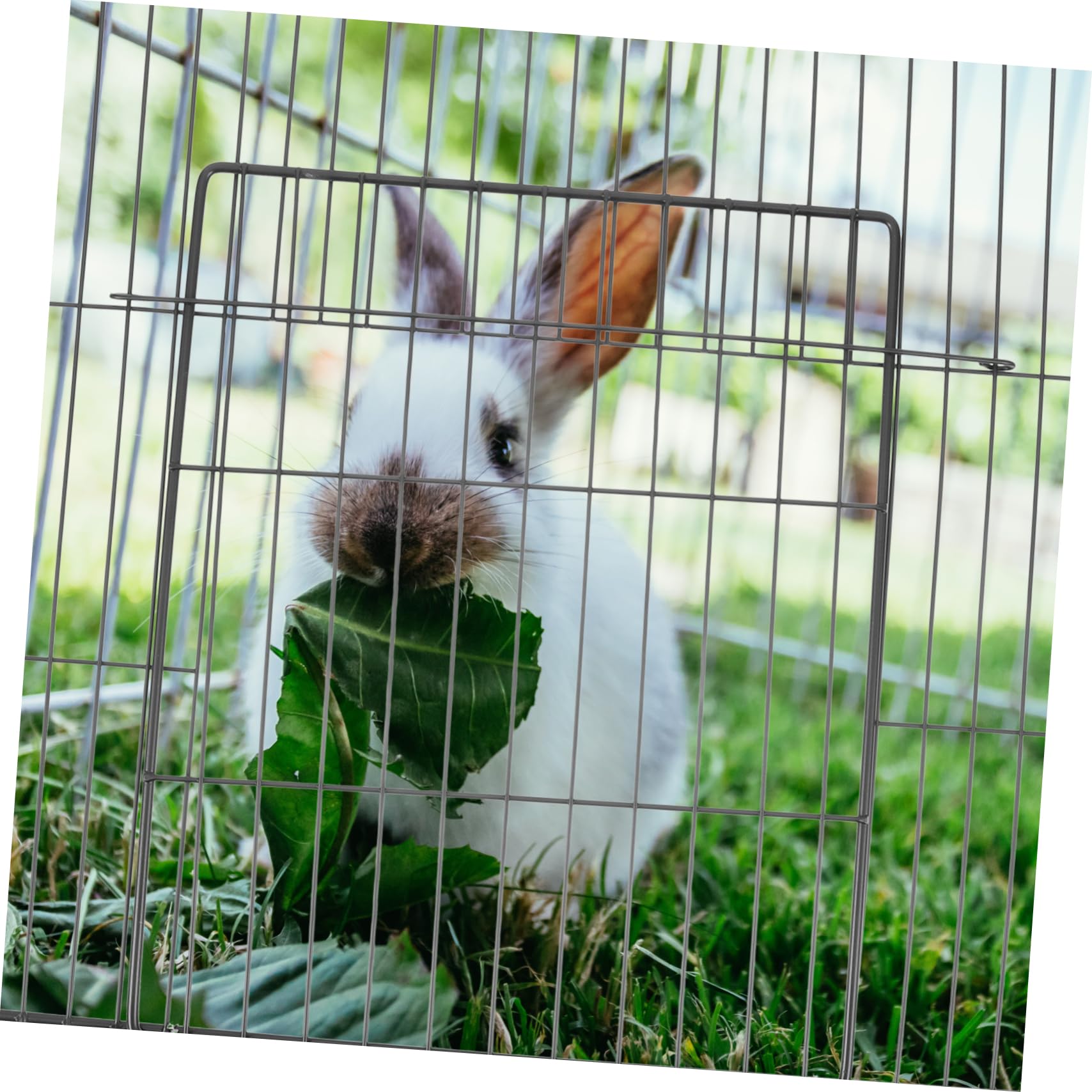 VANZACK Sturdy Metal Cat Cage Mesh Door Replacement for Wire Fencing Playpen Accessory Small Pet Entry Simple Design