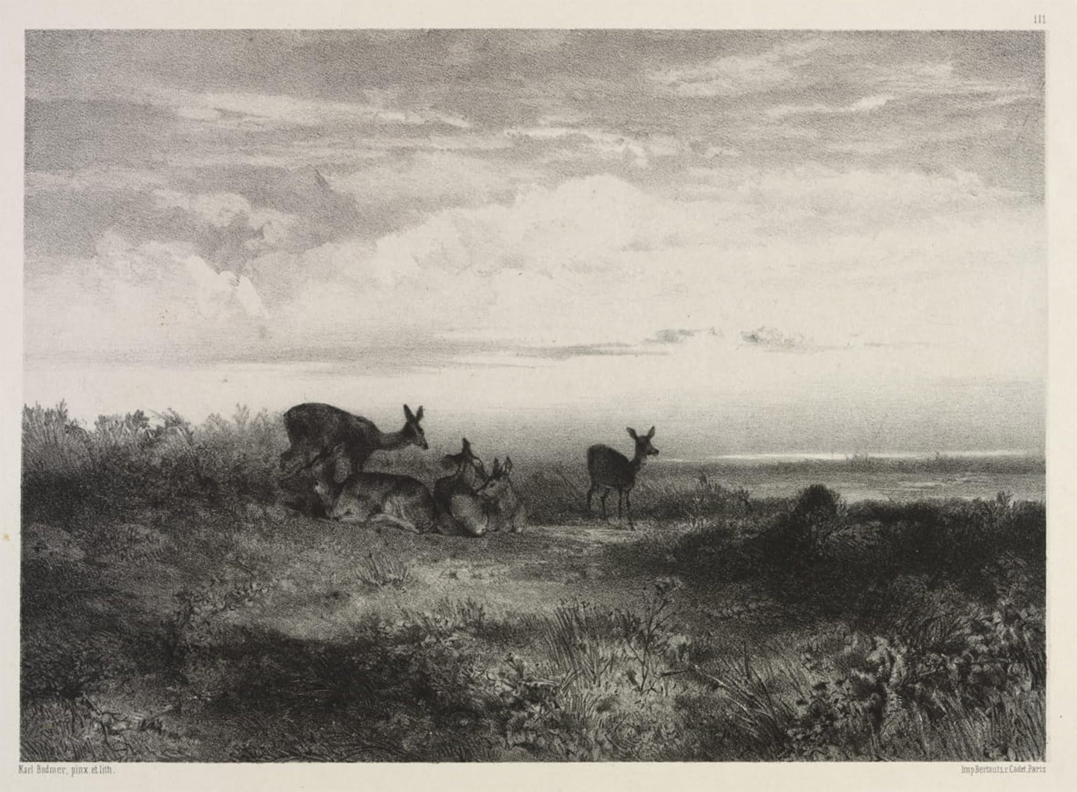 Artxlxxbn No Frame Famous Painting Art Wall Decor Abstract Art Picture Landscape With Deer By Karl Bodmer Animal Pictures For Home Decor 60X90cm