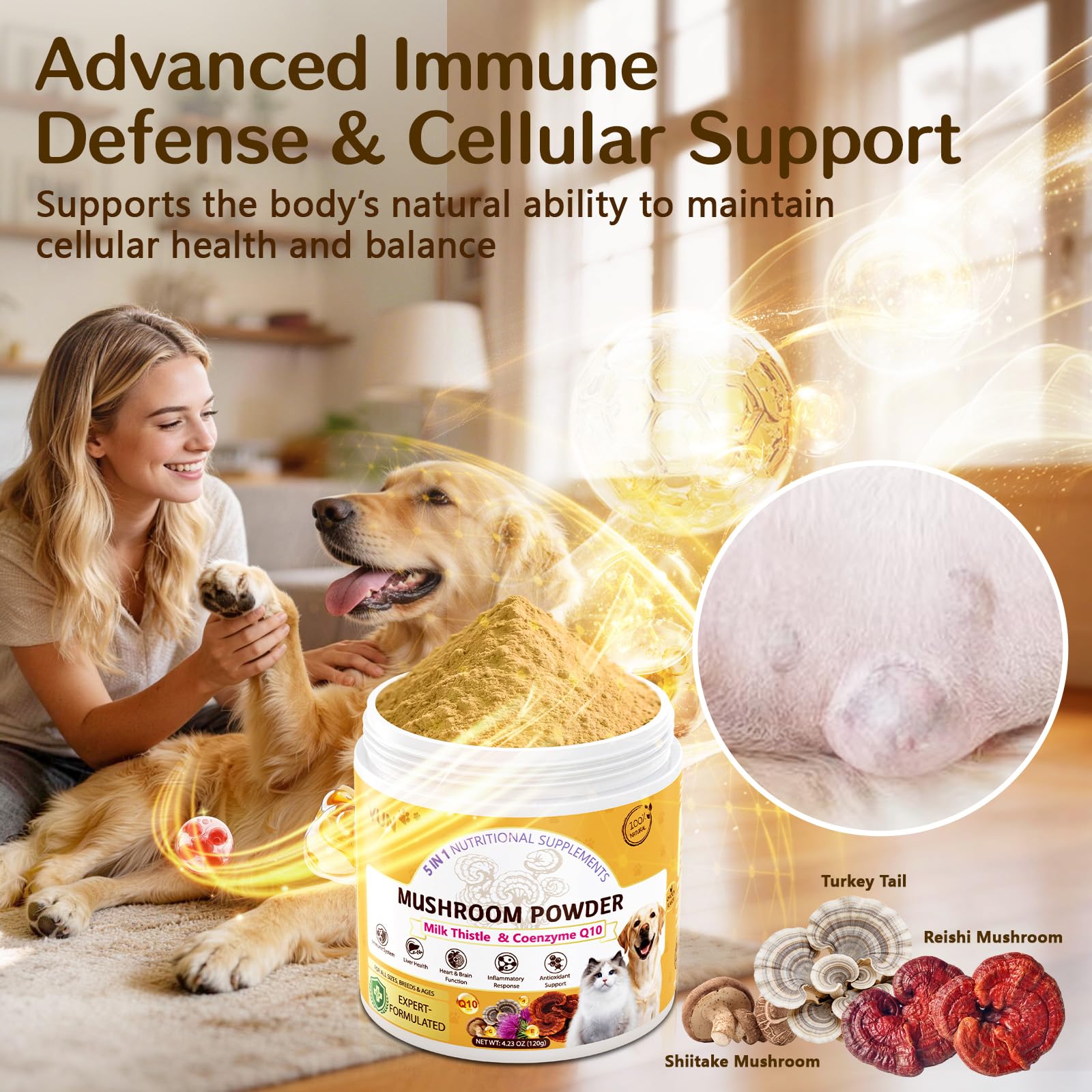 VUN Turkey Tail Mushroom for Dogs, Mushroom Powder for Dogs & Cats — Amazon image 2